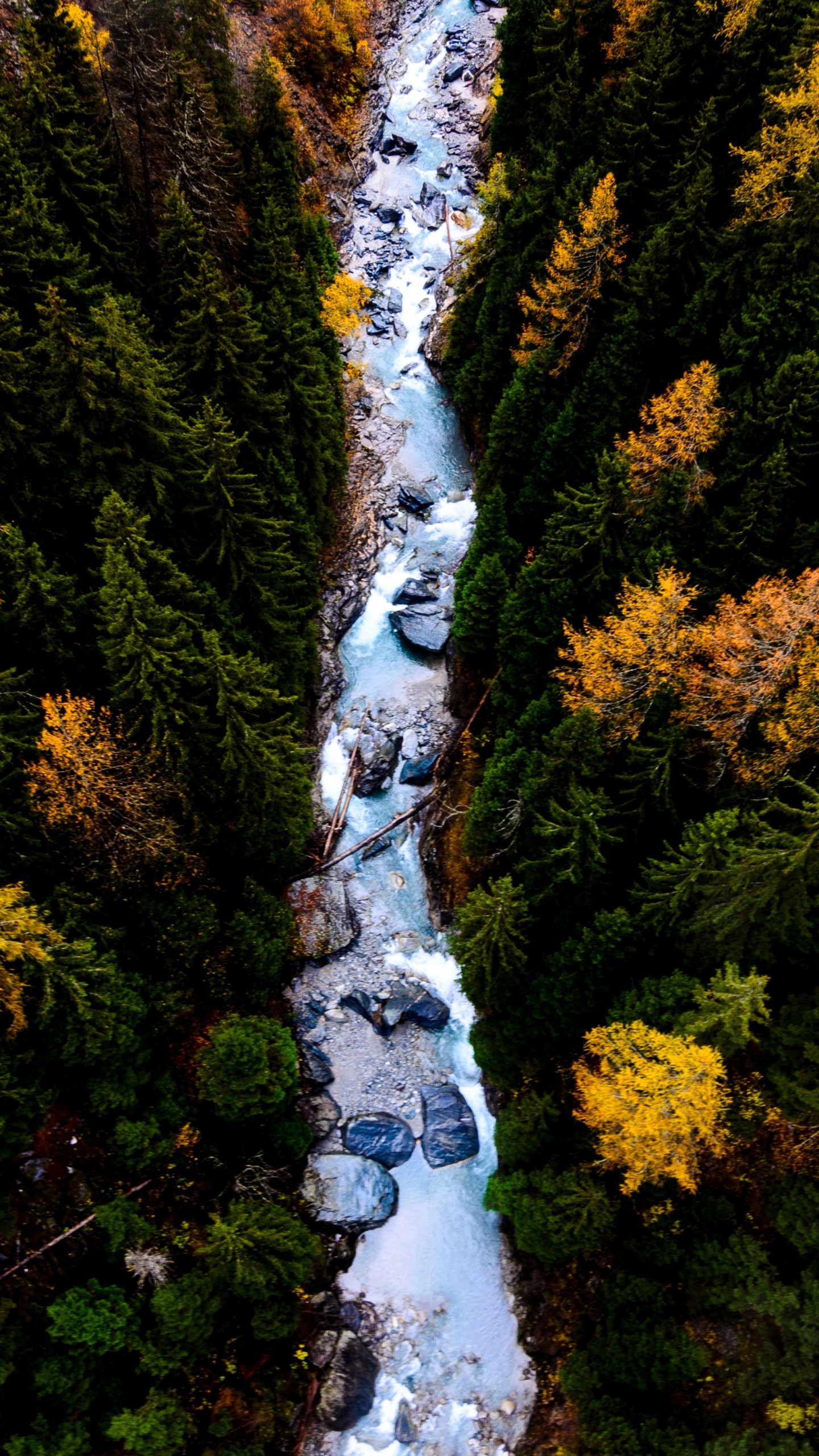 Download mobile wallpaper Nature, Forest, Earth, River, Aerial for free.