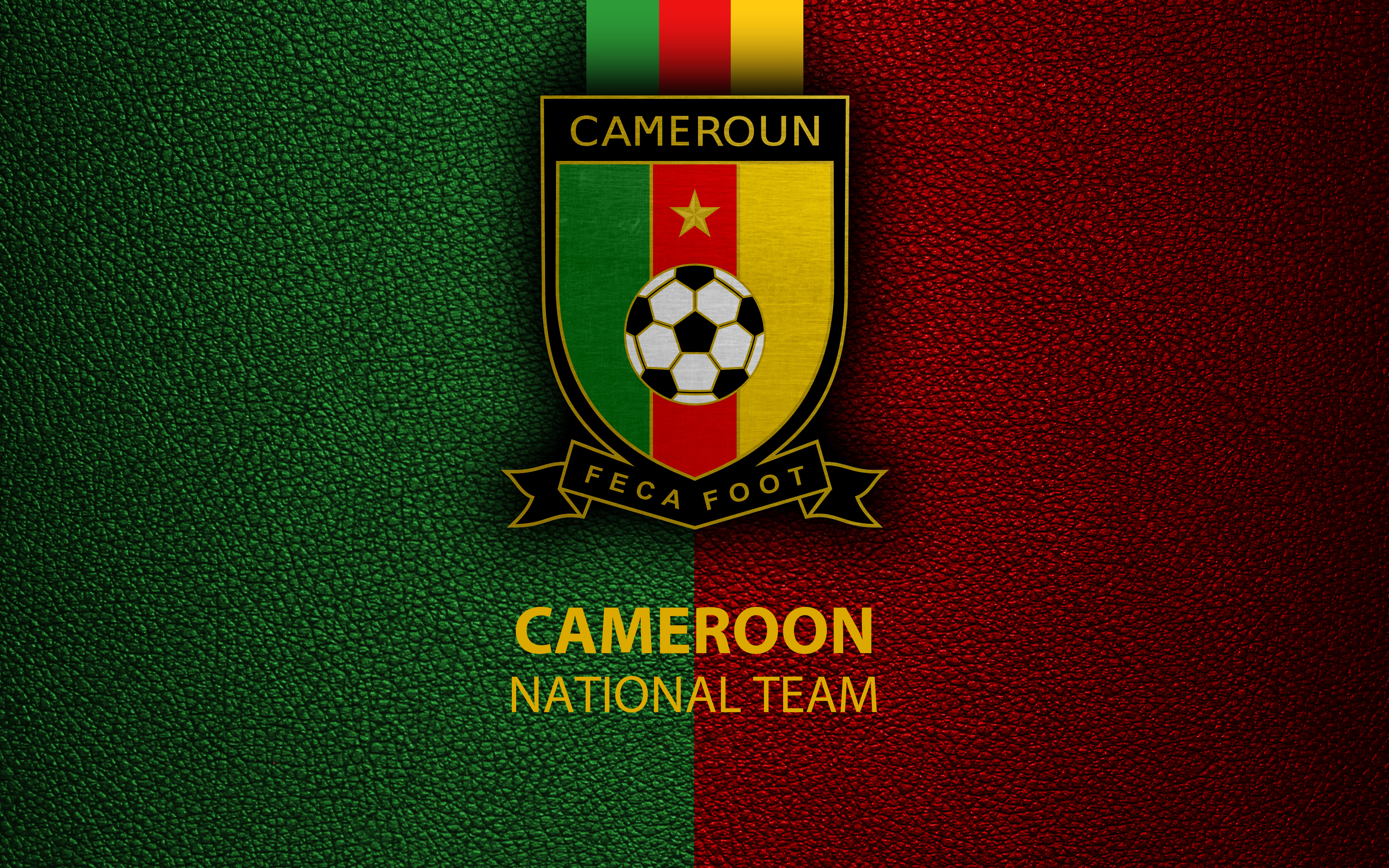 Популярні заставки і фони Збірна Камеруну З Футболу на комп'ютер