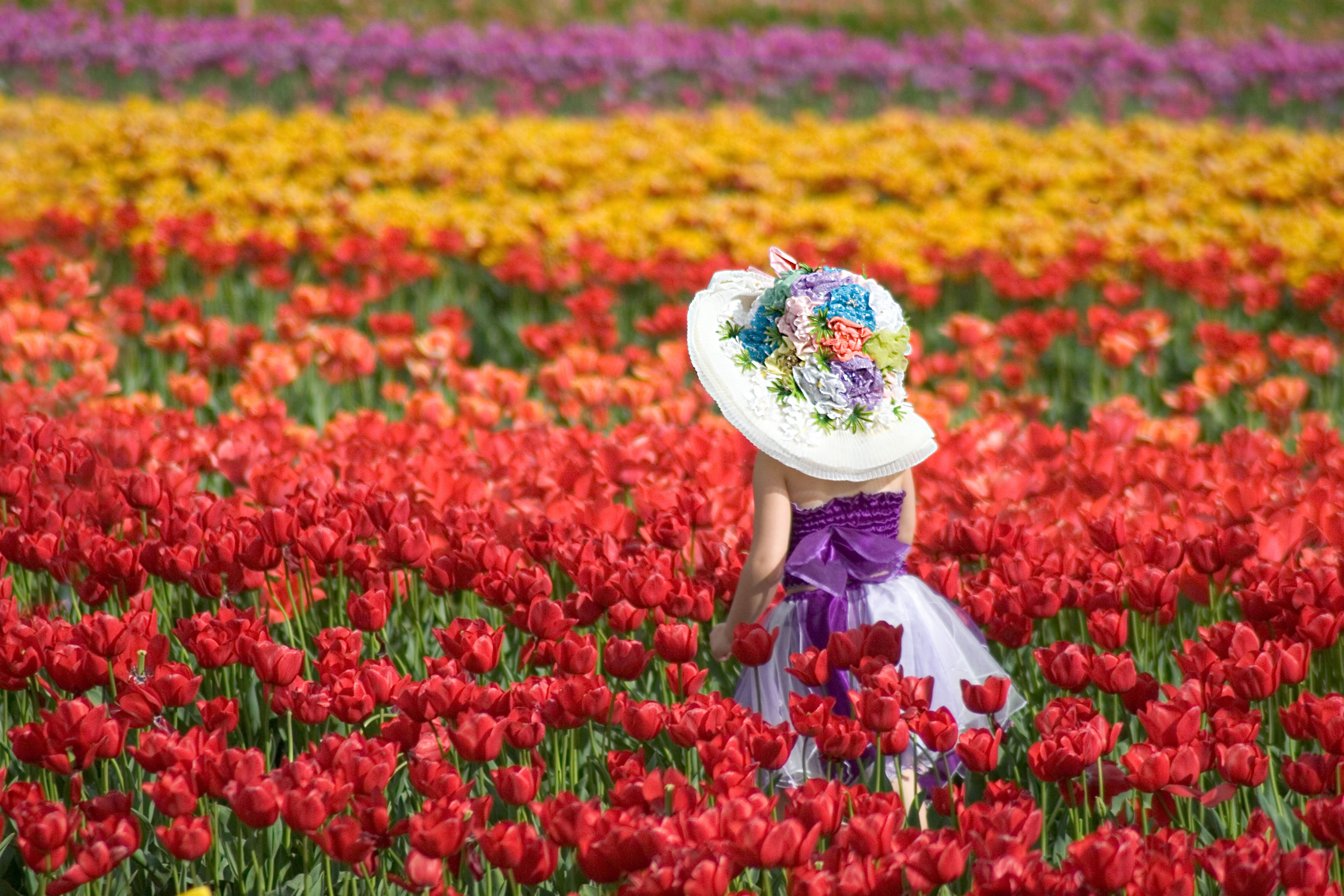 Free download wallpaper Flower, Blur, Field, Child, Tulip, Hat, Photography, Red Flower, Little Girl on your PC desktop