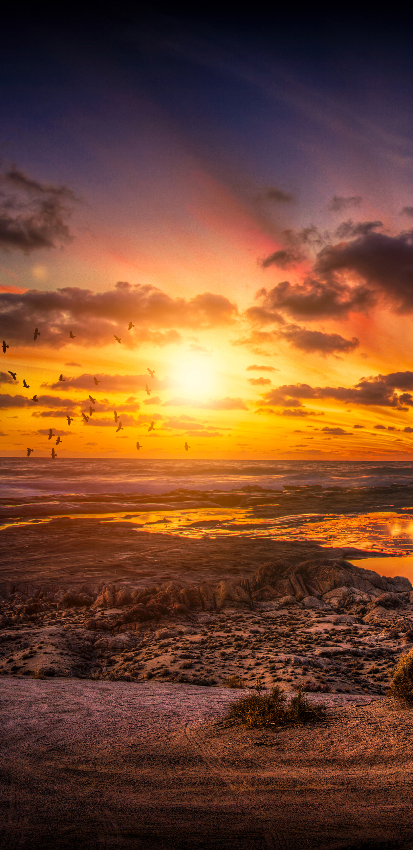 Download mobile wallpaper Sunset, Sky, Sea, Sun, Horizon, Ocean, Earth for free.