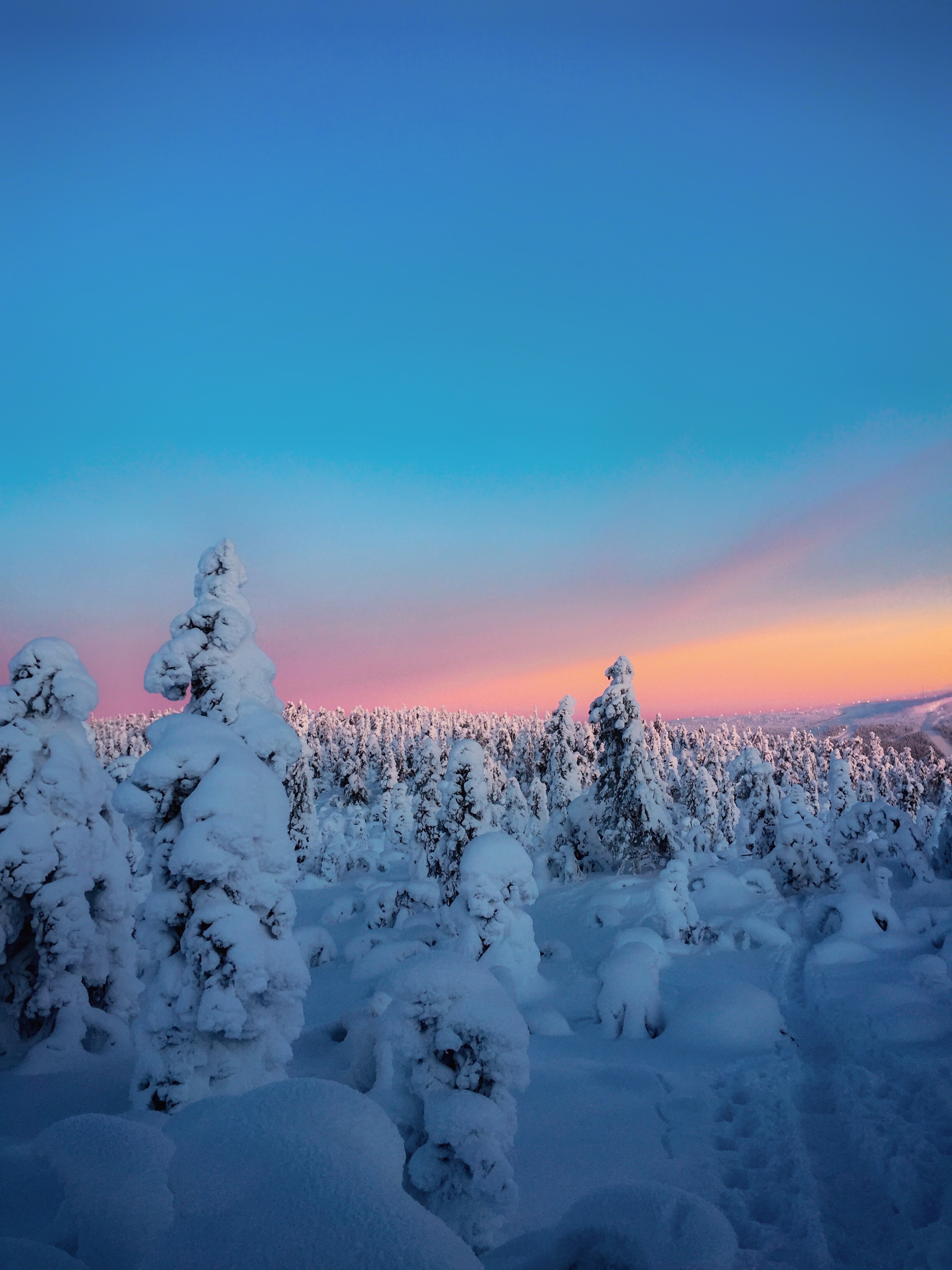 Скачать картинку Заснеженный, Природа, Деревья, Зима, Снег, Горизонт в телефон бесплатно.