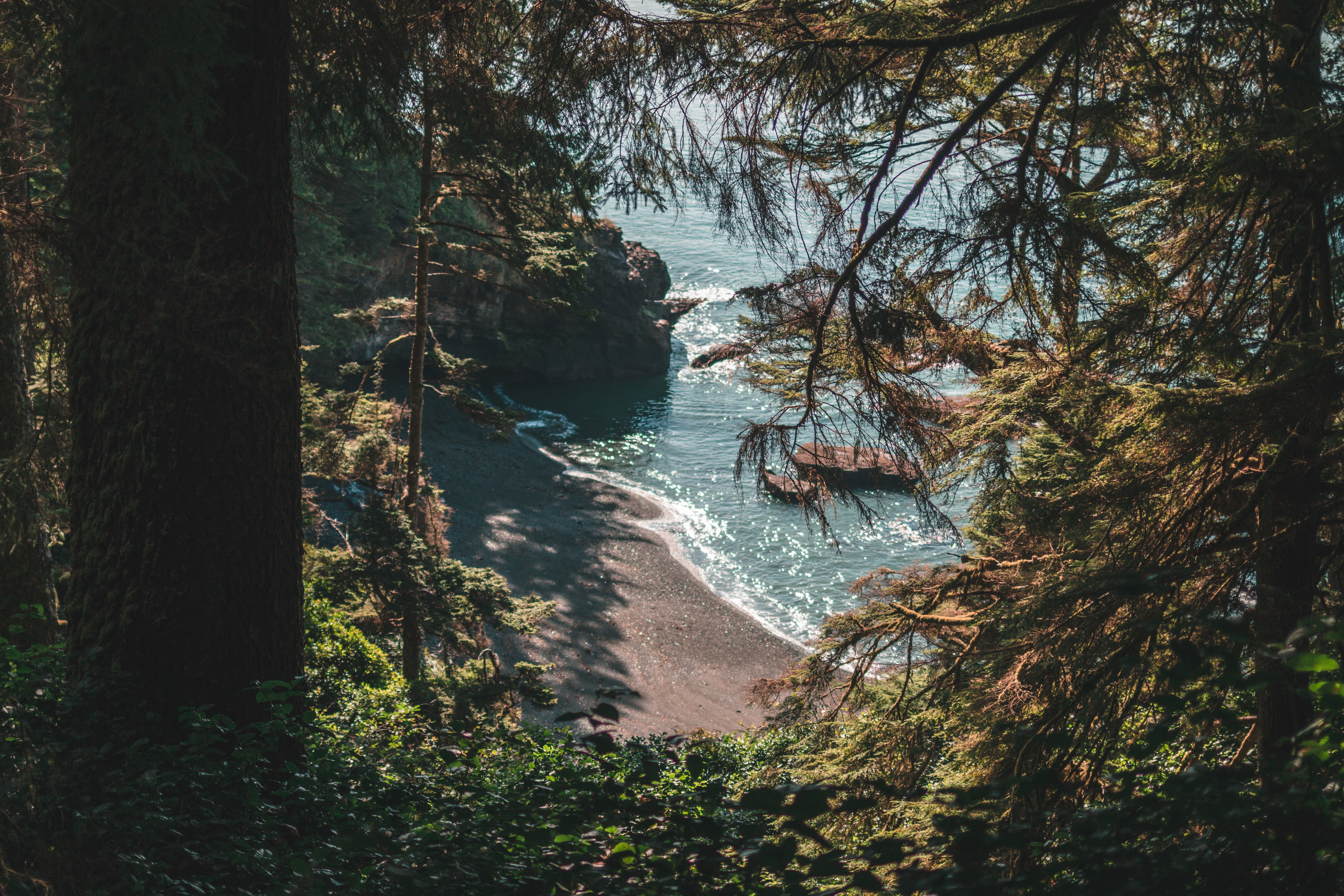 Download mobile wallpaper Trees, Nature, Rocks, Coast, Beach, Landscape for free.