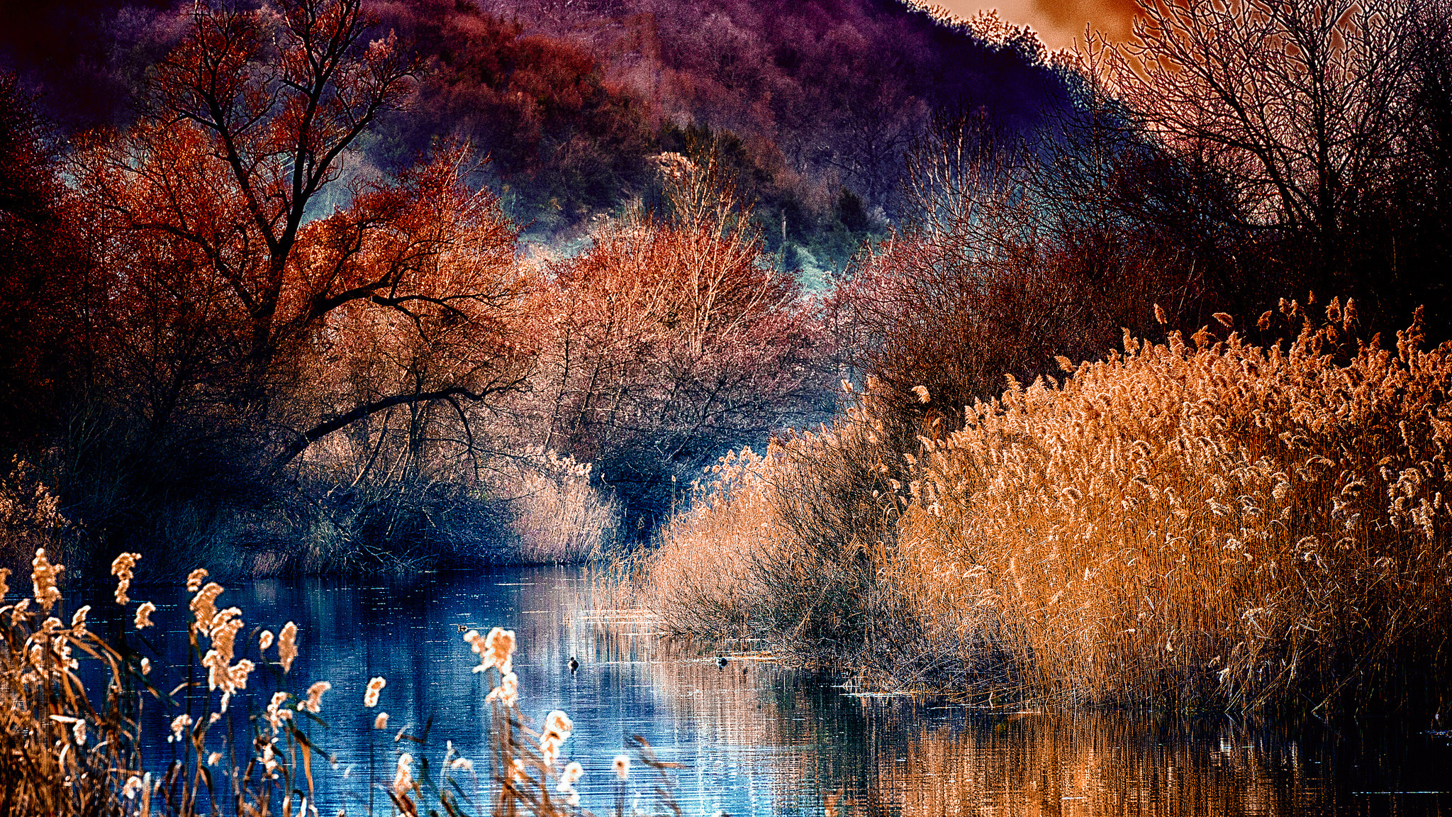 Laden Sie das Fluss, Erde/natur-Bild kostenlos auf Ihren PC-Desktop herunter