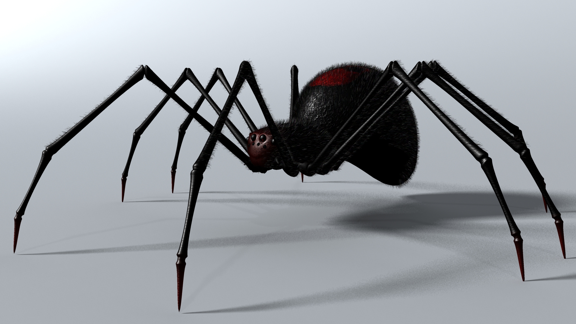 802646 télécharger le fond d'écran noir, animaux, image de synthèse, 3d, arachnide, araignée - économiseurs d'écran et images gratuitement
