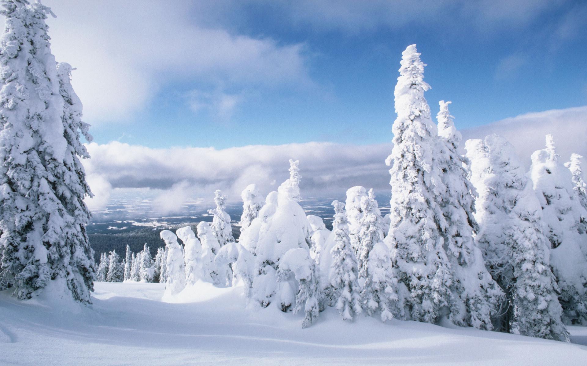 Téléchargez gratuitement l'image Hiver, Terre/nature sur le bureau de votre PC