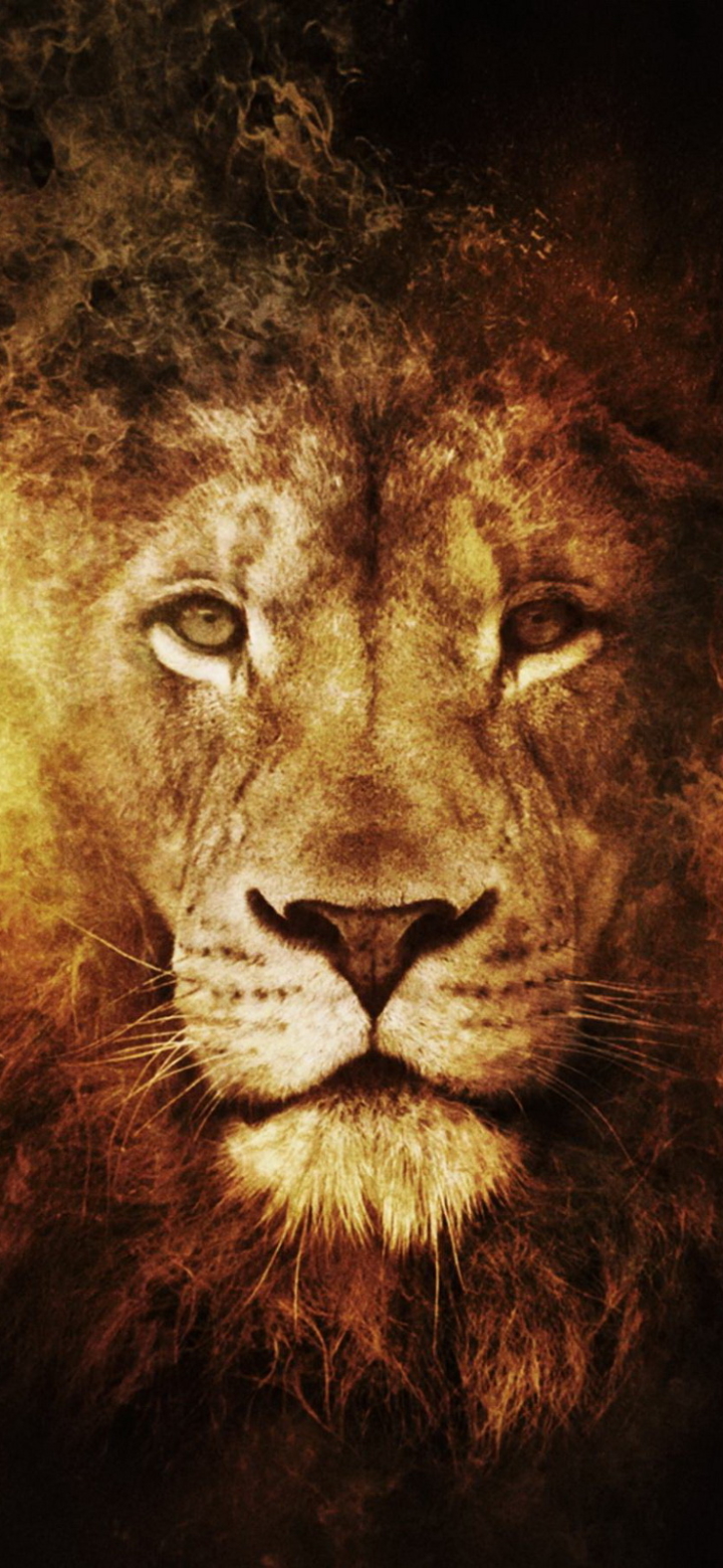 Download mobile wallpaper Cats, Lion, Animal for free.