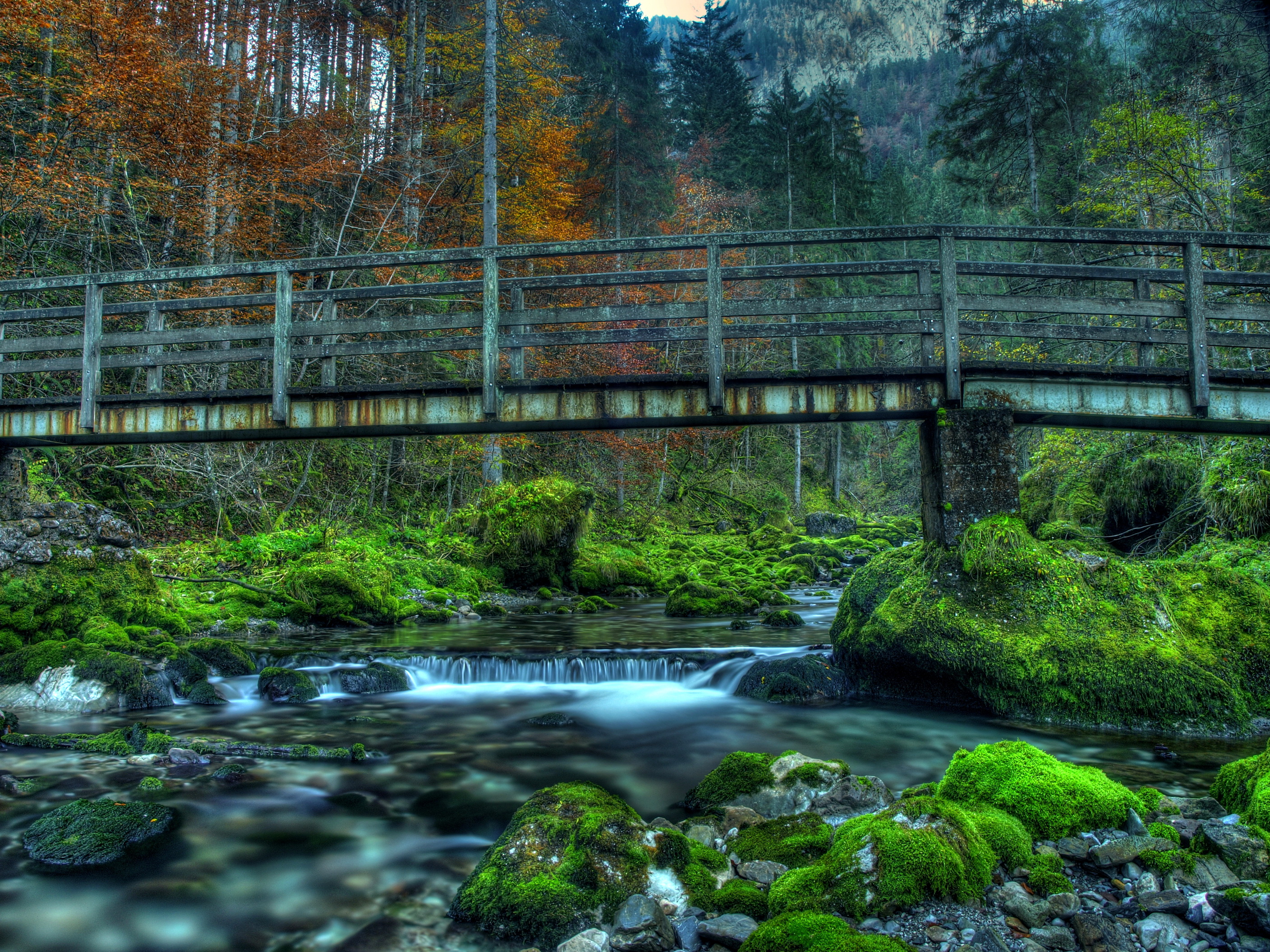 Free download wallpaper Bridges, Forest, Tree, Old, Bridge, Stone, Moss, Hdr, River, Man Made on your PC desktop