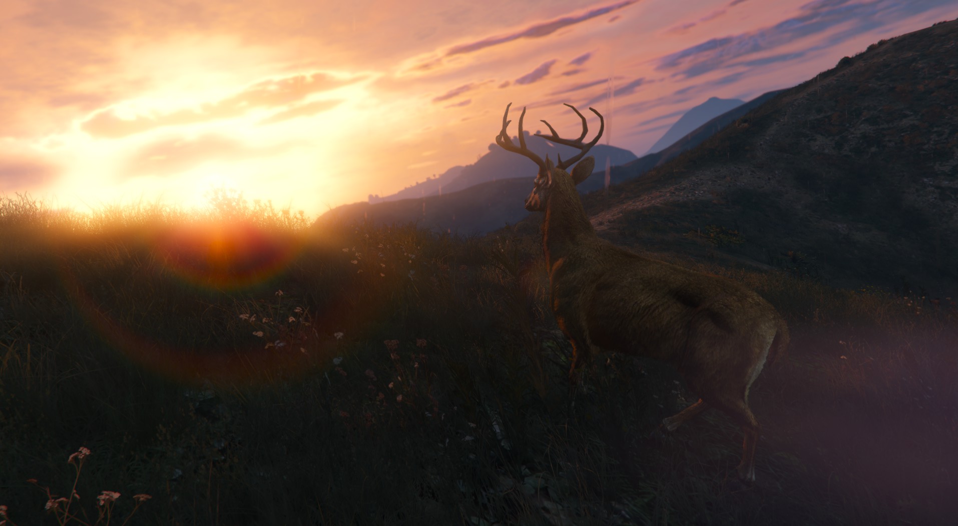 Download mobile wallpaper Sky, Mountain, Evening, Deer, Video Game, Grand Theft Auto, Grand Theft Auto V for free.