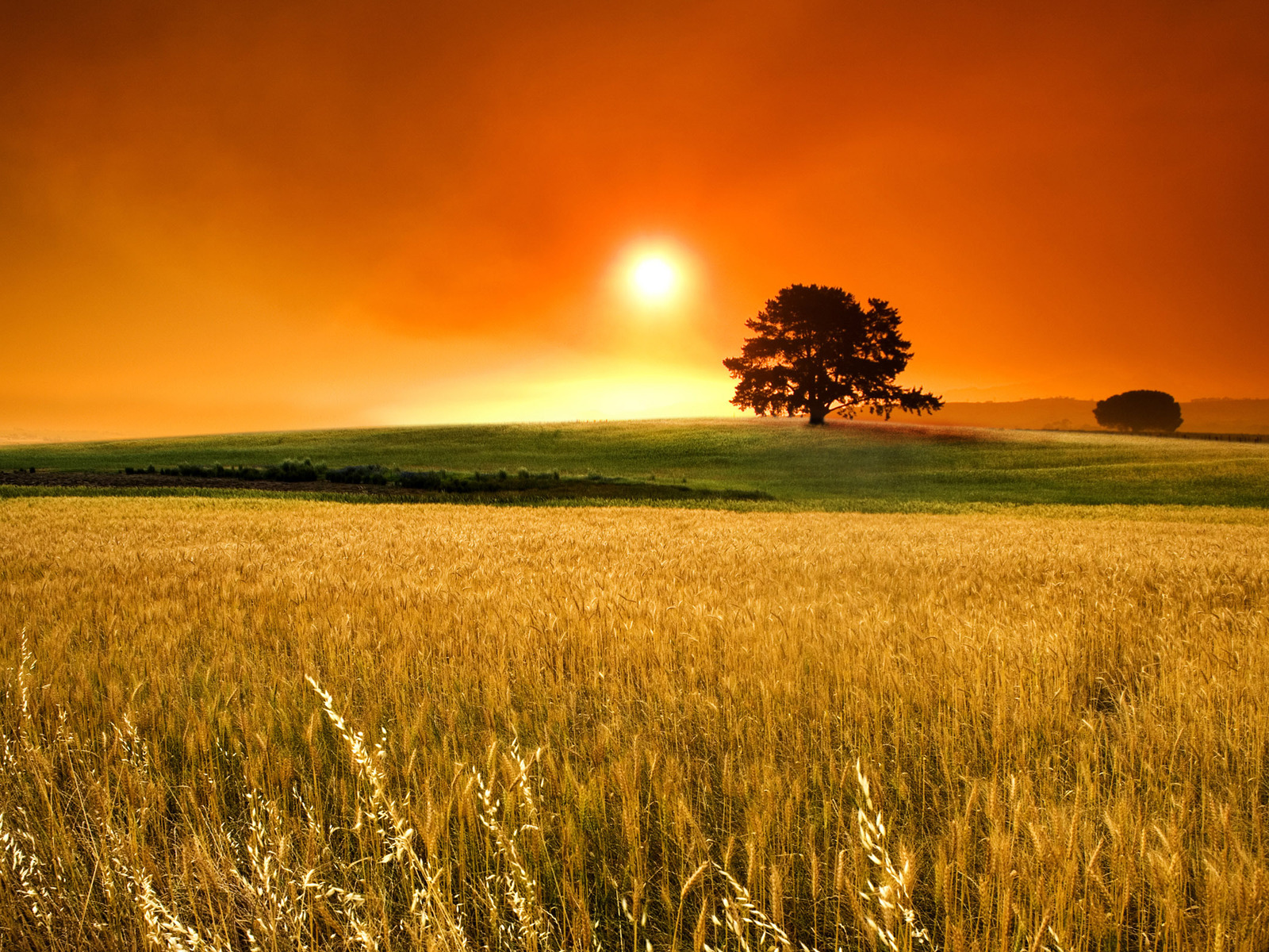 Téléchargez gratuitement l'image Coucher De Soleil, Terre/nature sur le bureau de votre PC