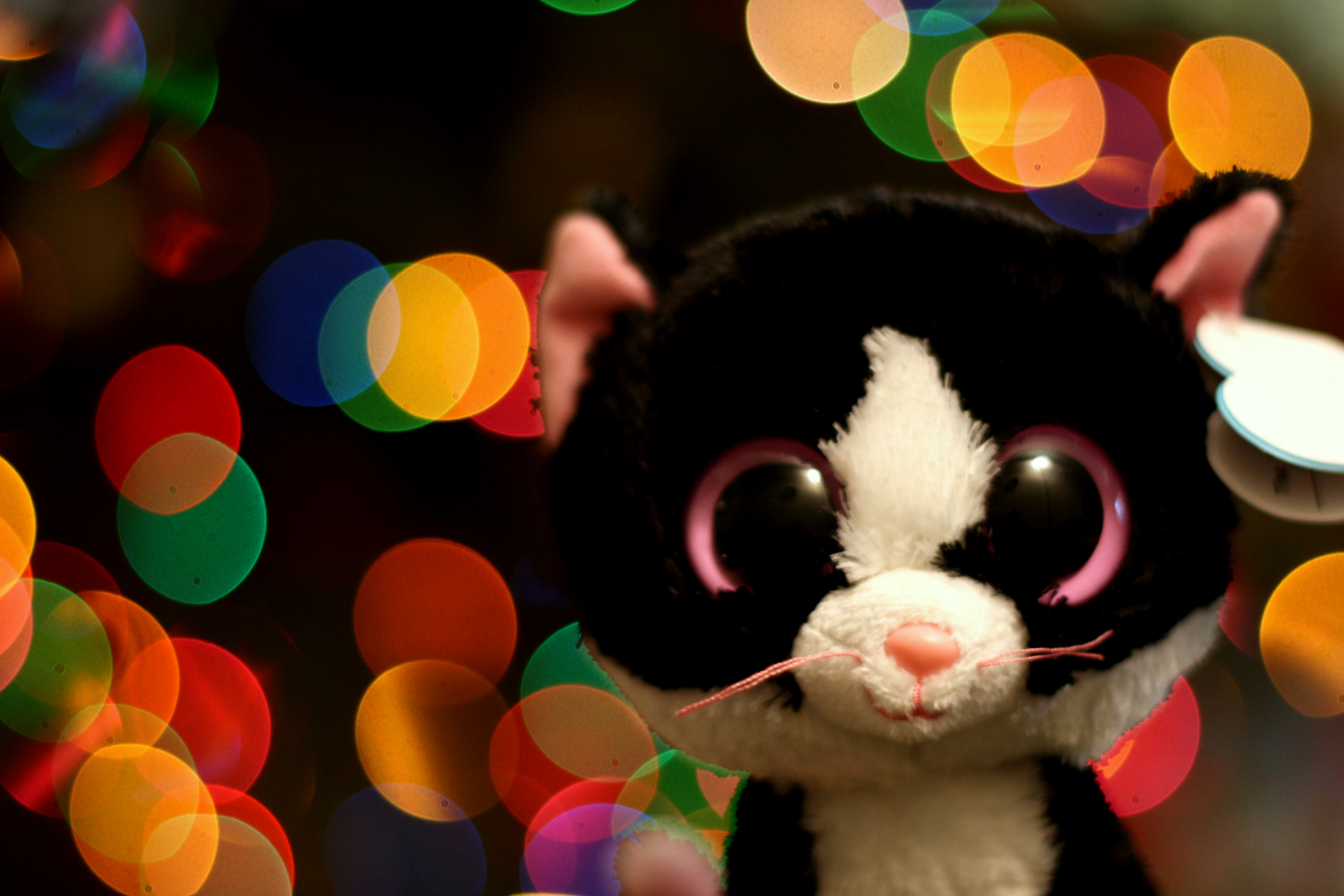 Free download wallpaper Products, Beanie Boos on your PC desktop