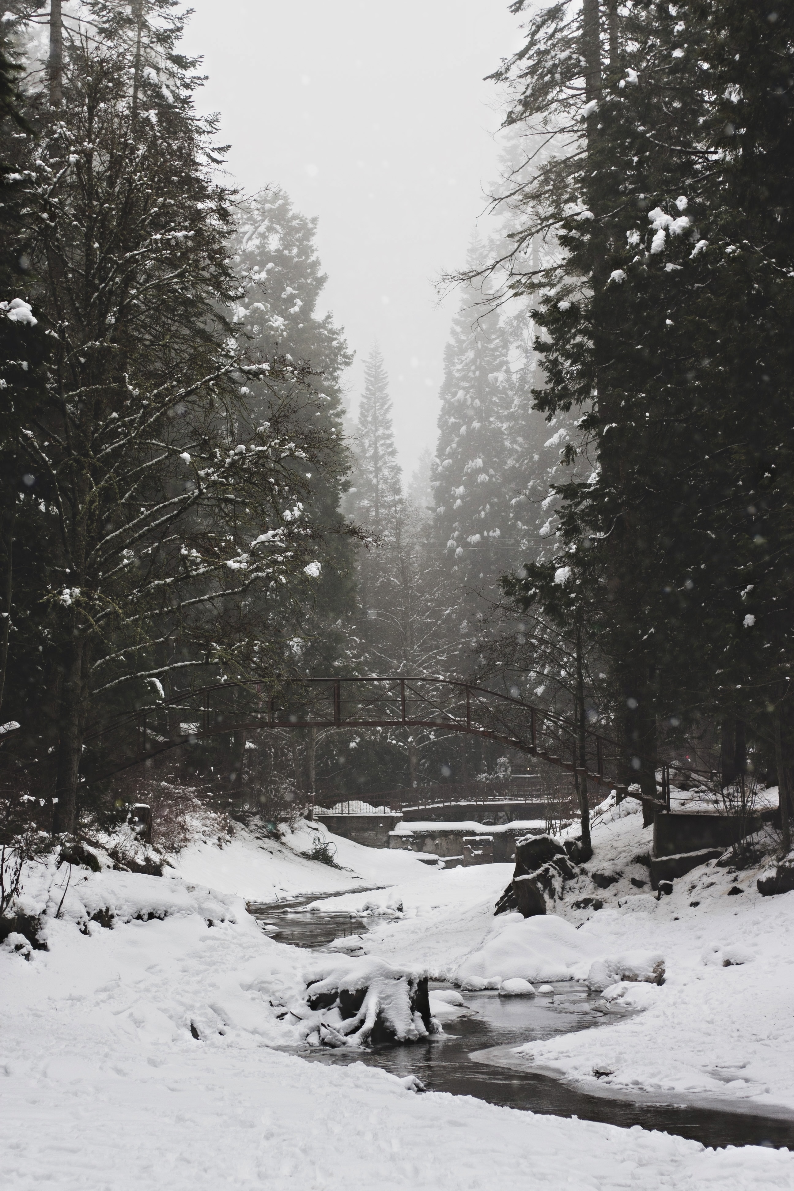 Скачать картинку Деревья, Снег, Природа, Река, Мост, Зима в телефон бесплатно.