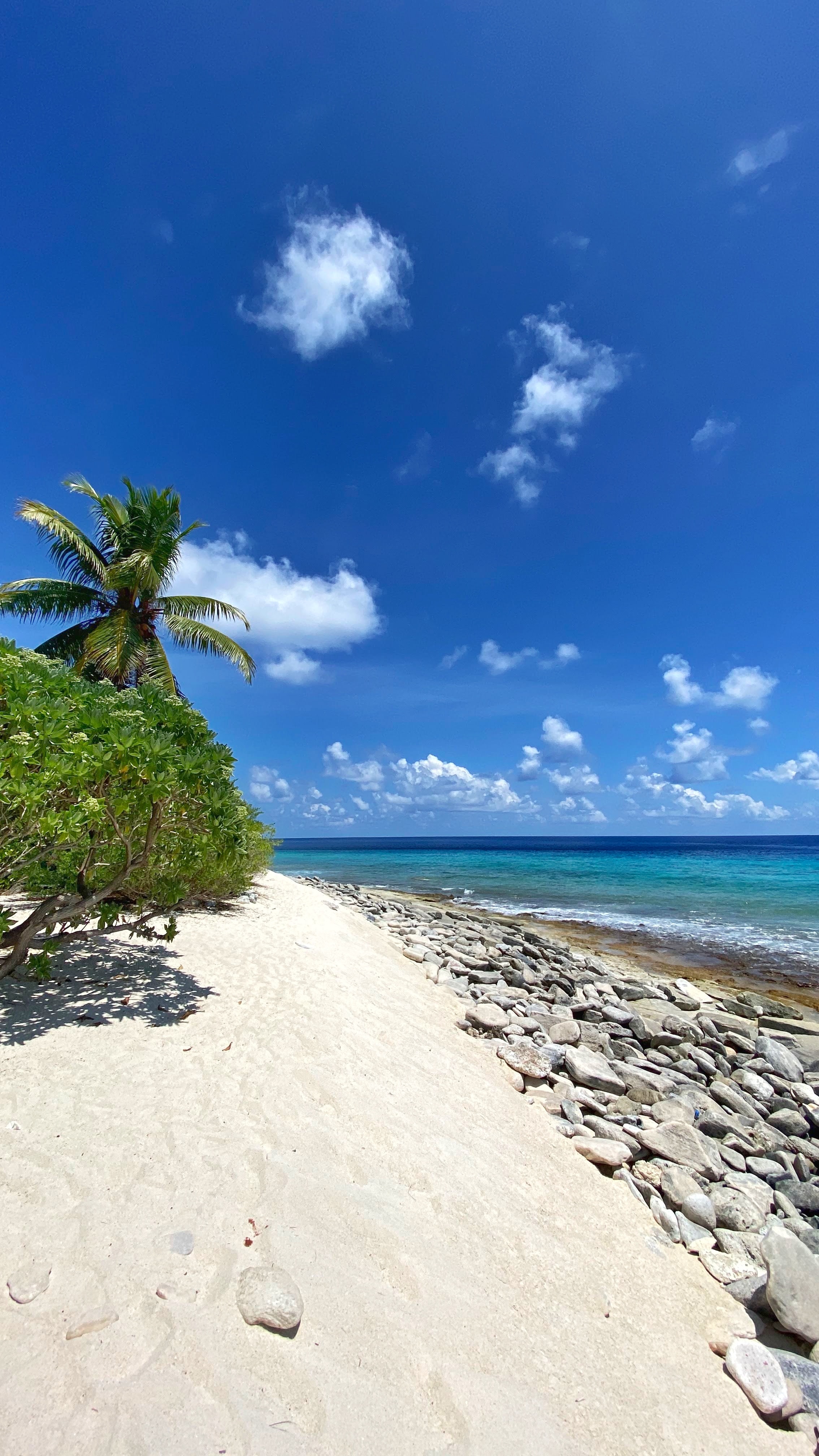 Baixe gratuitamente a imagem Natureza, Areia, Costa, Tropical, Praia, Palms na área de trabalho do seu PC
