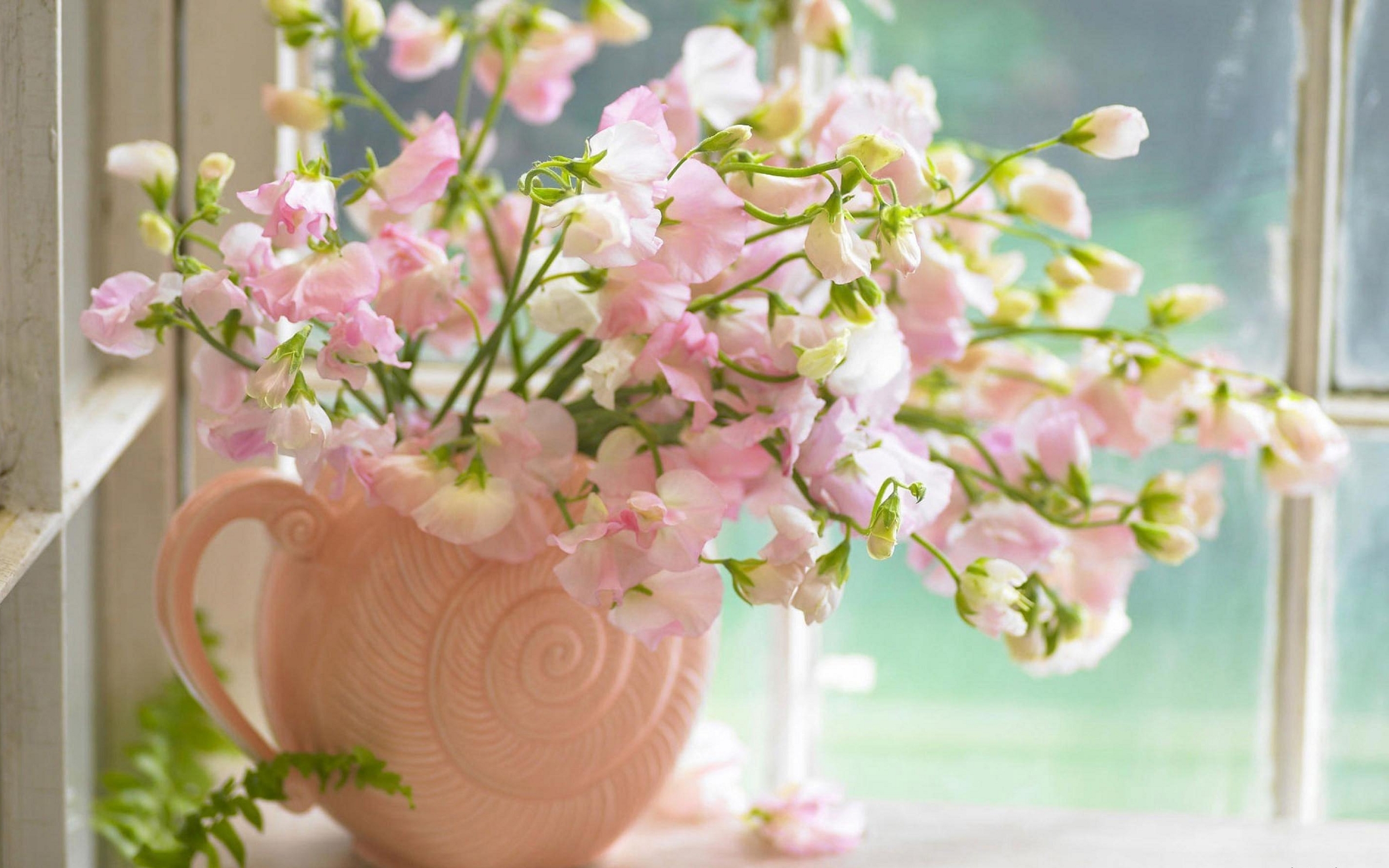 Free download wallpaper Plants, Flowers, Bouquets on your PC desktop