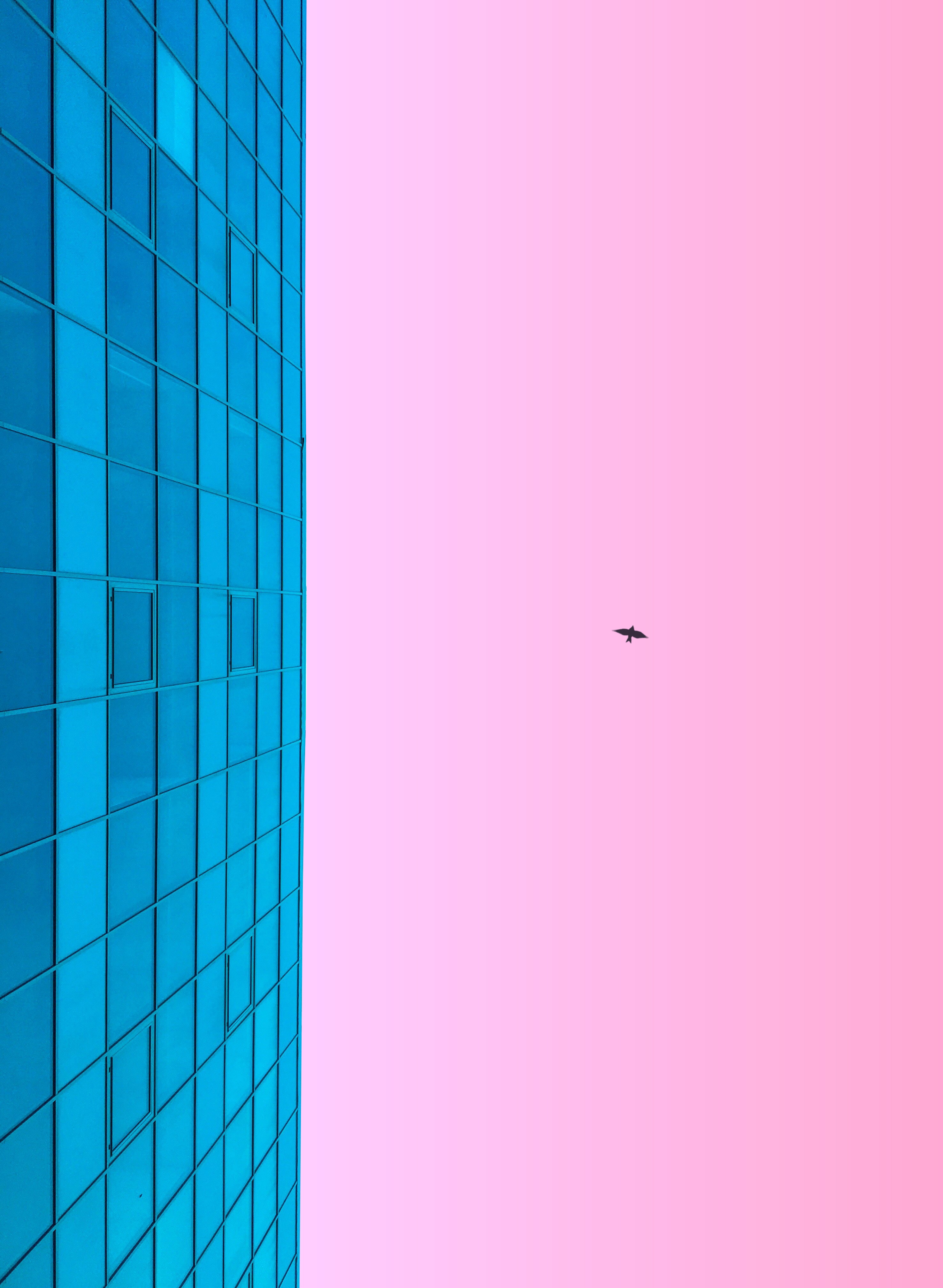 Free download wallpaper Sky, Pink, Building, Bird, Minimalism on your PC desktop