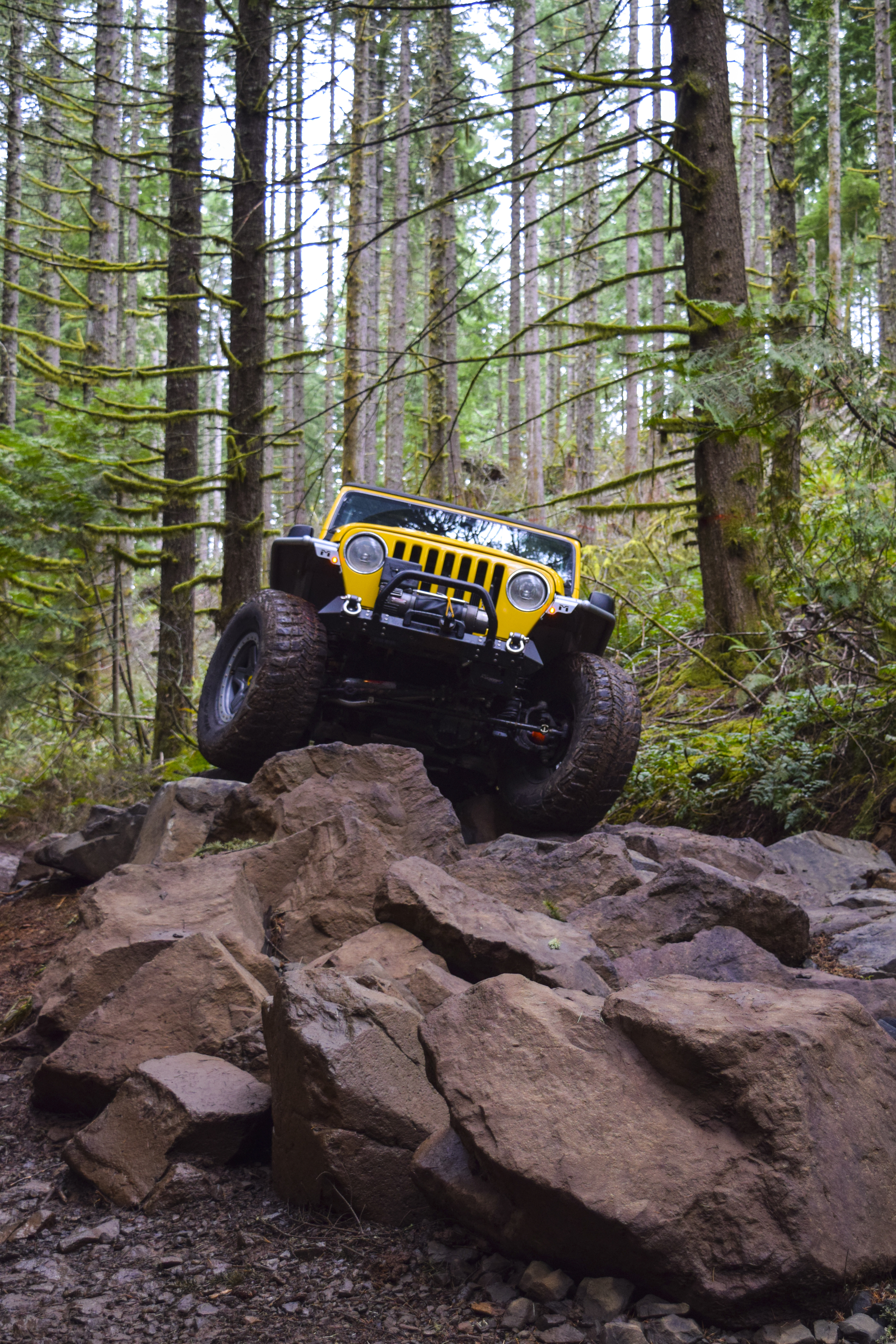 suv, car, cars, stones, forest, salem jeeper, jeeper for android