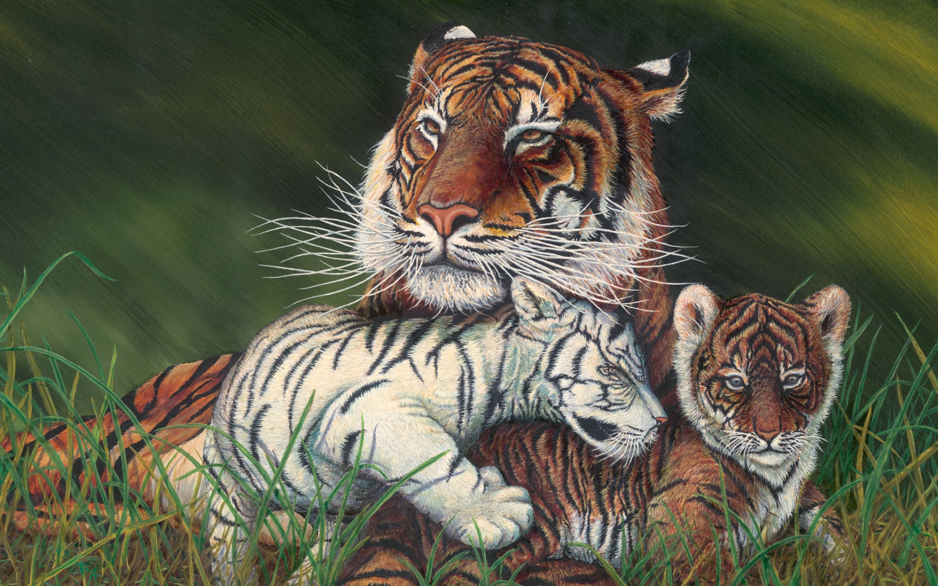 Скачать картинку Животные, Трава, Тигр, Детеныш, Картина, Белый Тигр, Кошки в телефон бесплатно.