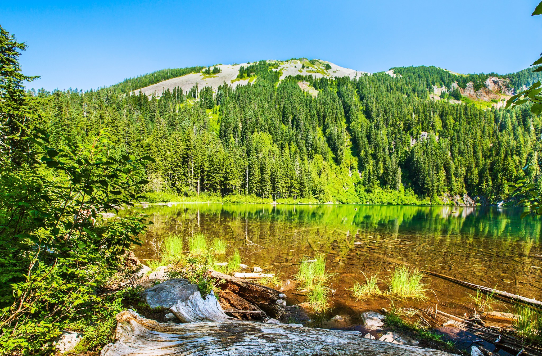 Download mobile wallpaper Summer, Lakes, Lake, Forest, Earth for free.