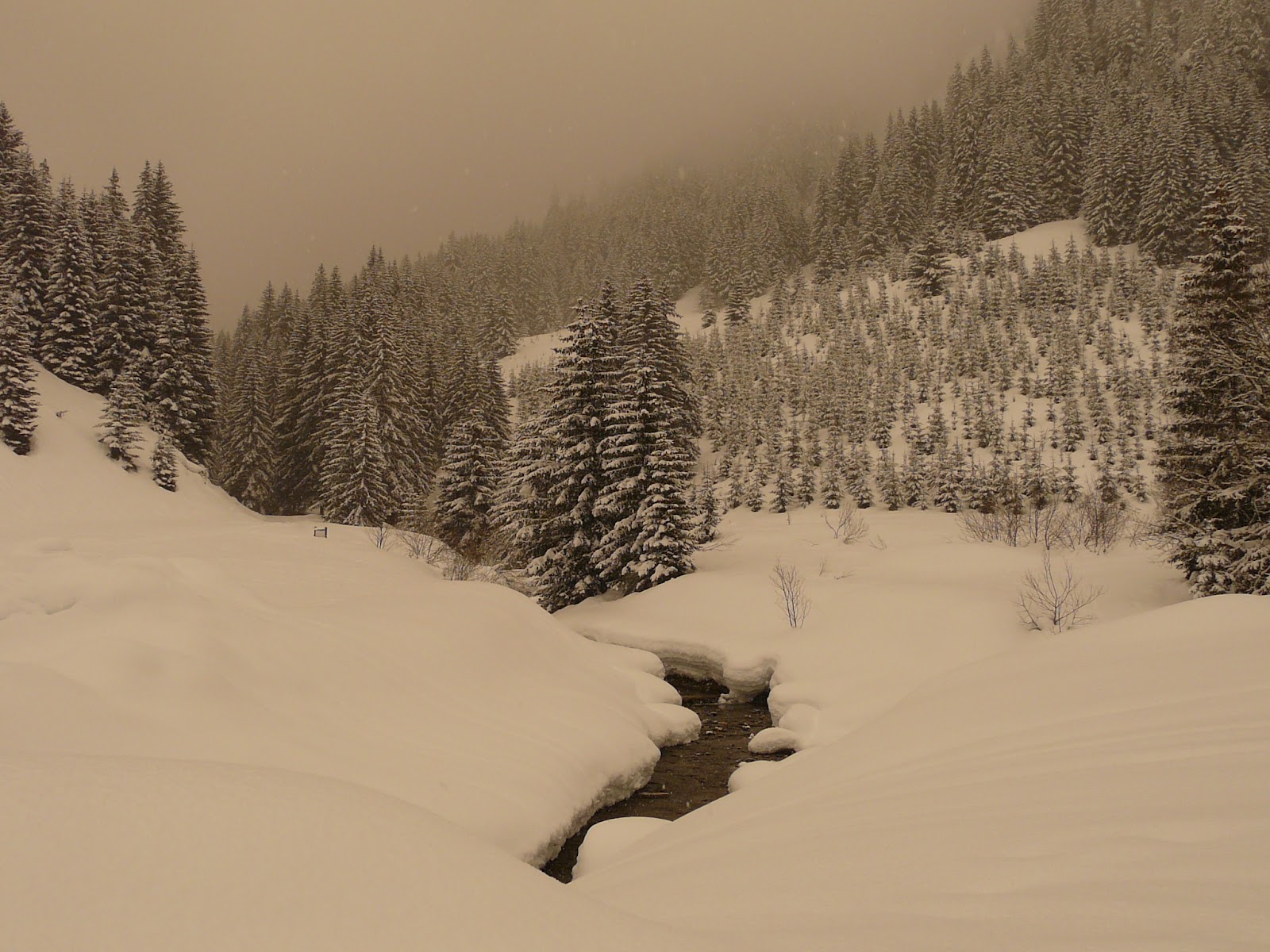 Téléchargez gratuitement l'image Hiver, Terre/nature sur le bureau de votre PC