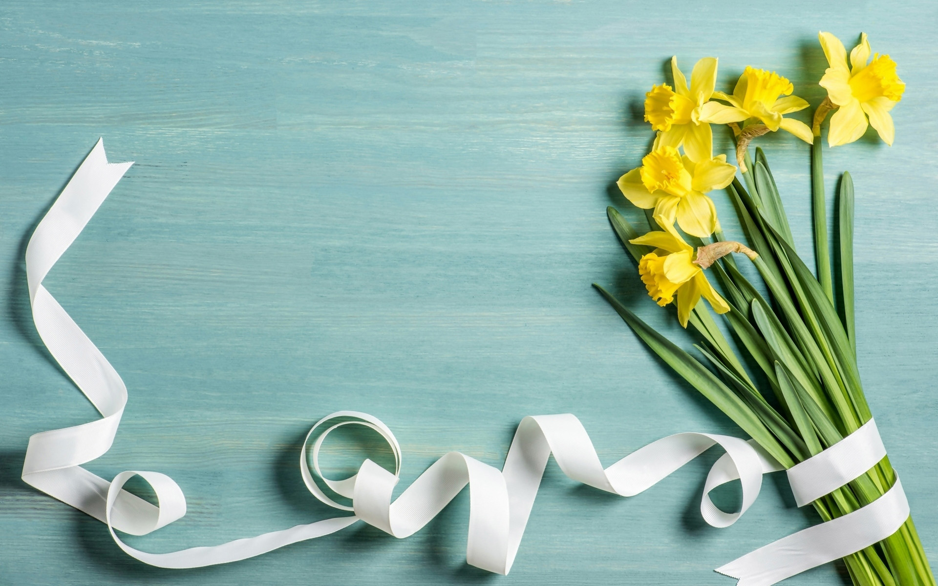Free download wallpaper Flower, Man Made, Daffodil on your PC desktop