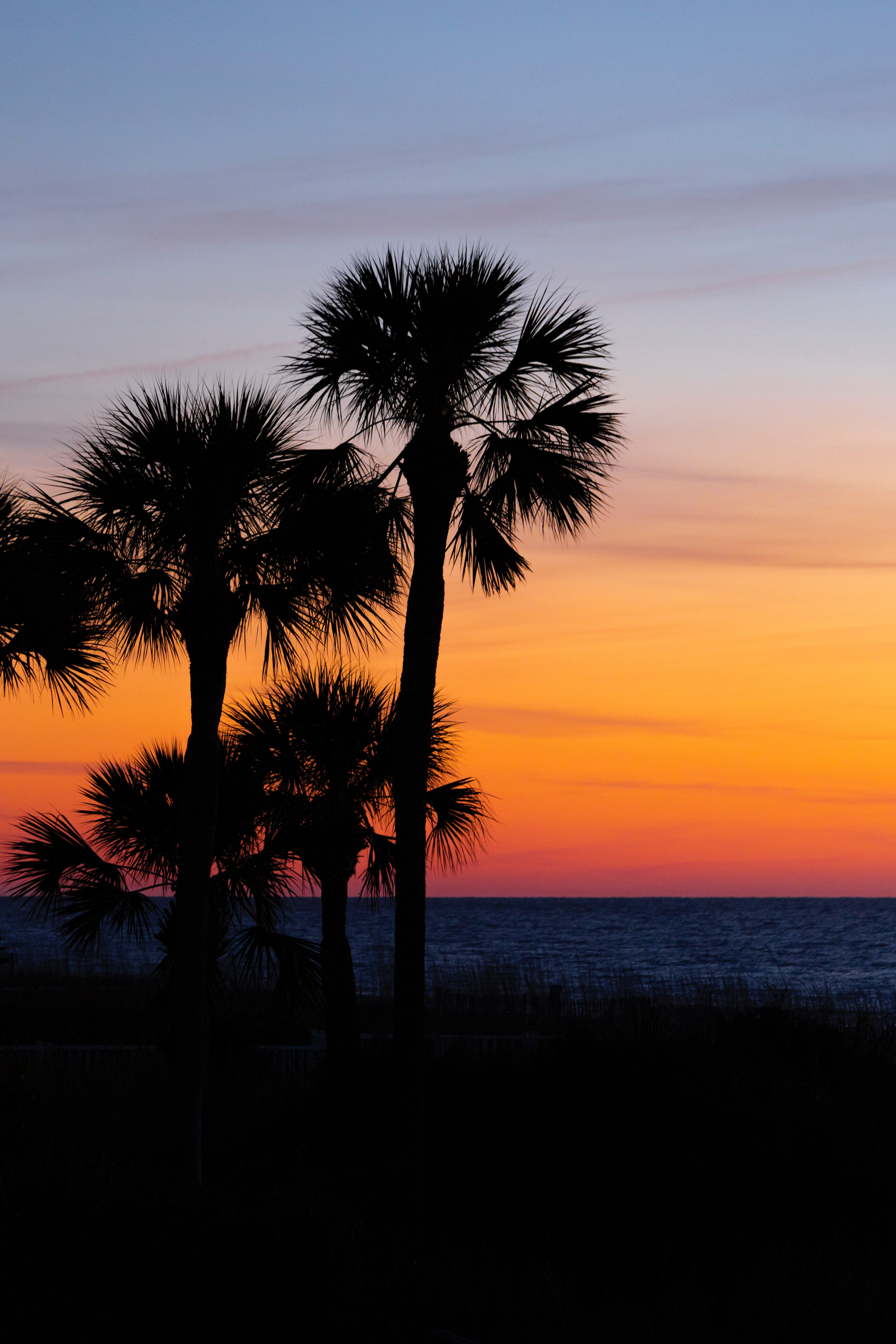 Download mobile wallpaper Branches, Horizon, Trees, Sky, Sunset, Palms, Nature, Dark for free.