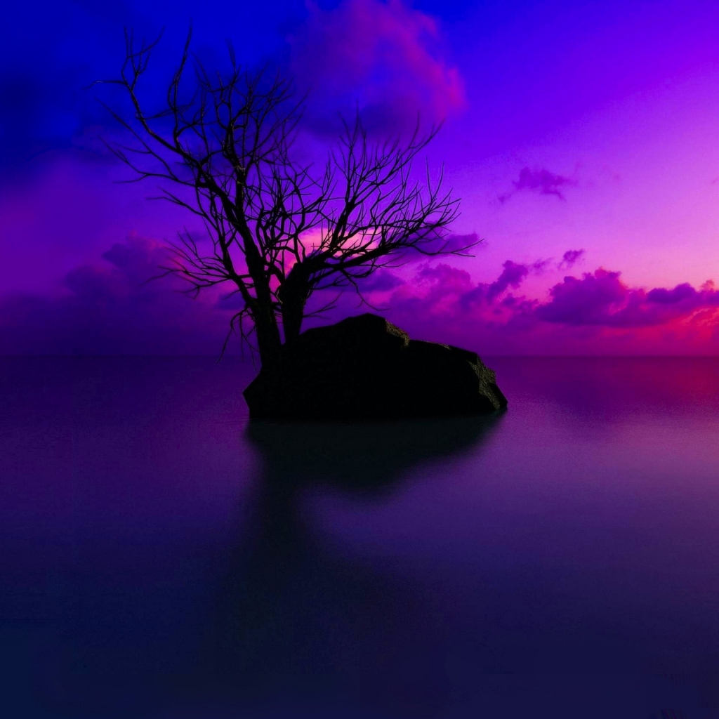 Free download wallpaper Sunset, Sky, Horizon, Tree, Earth, Purple, Cloud on your PC desktop