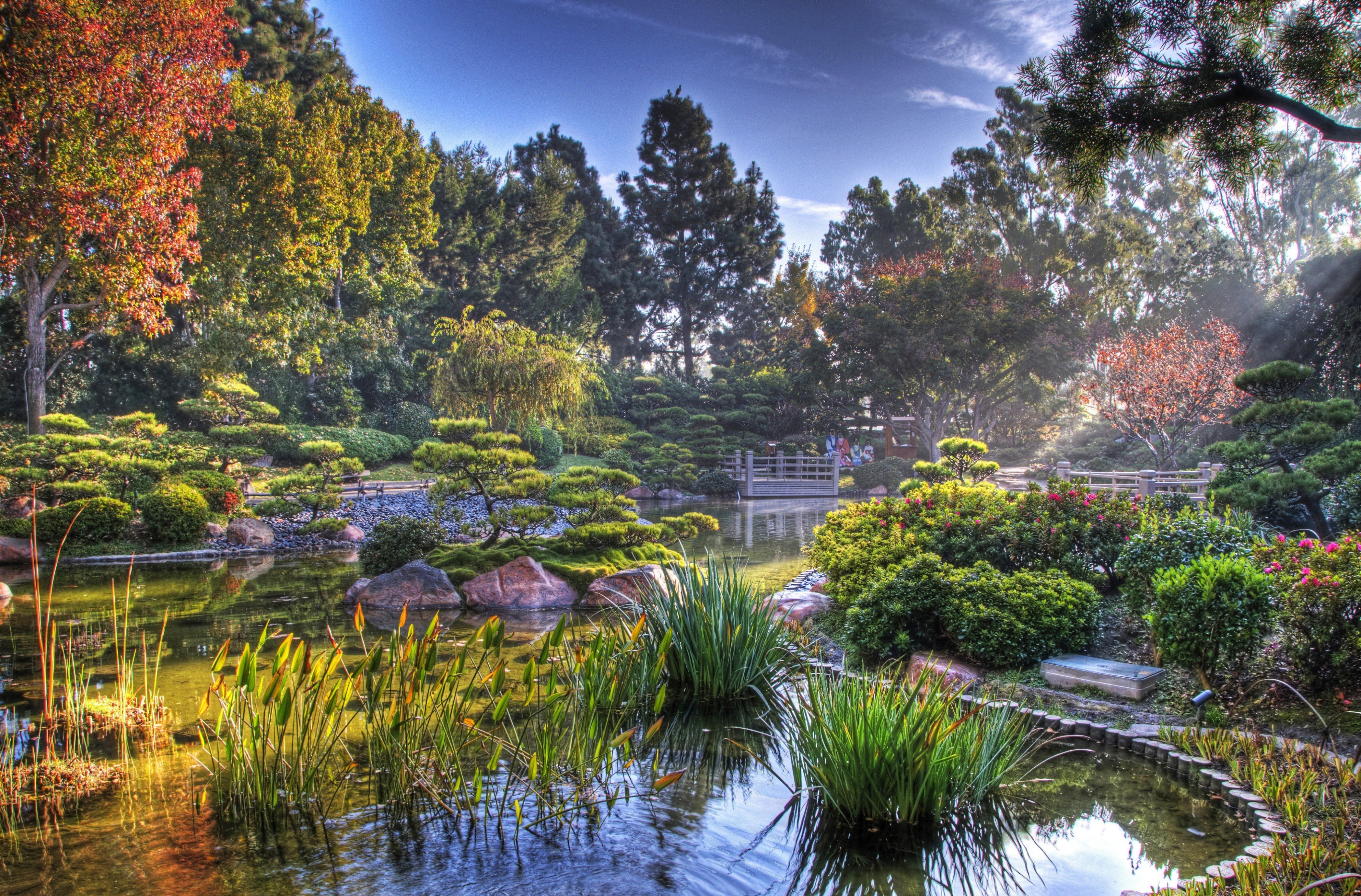 656012壁紙のダウンロードマンメイド, 日本庭園, 秋, 日本, サンビーム, 禅-スクリーンセーバーと写真を無料で