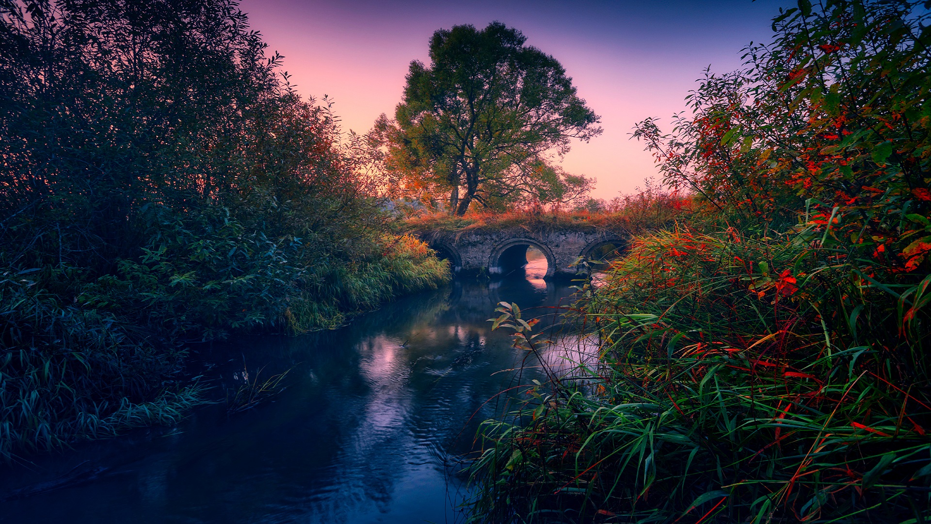 Handy-Wallpaper Wasser, Baum, Brücke, Brücken, Menschengemacht, Draussen kostenlos herunterladen.