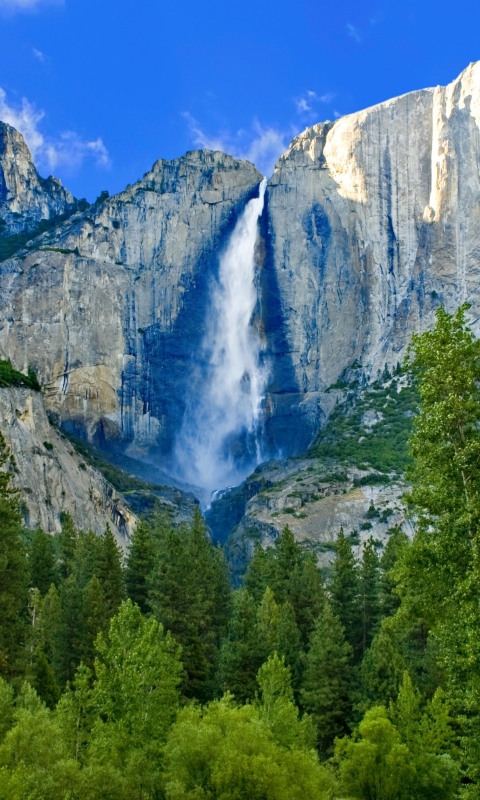 Download mobile wallpaper Waterfalls, Waterfall, Forest, Tree, Earth, Cliff for free.