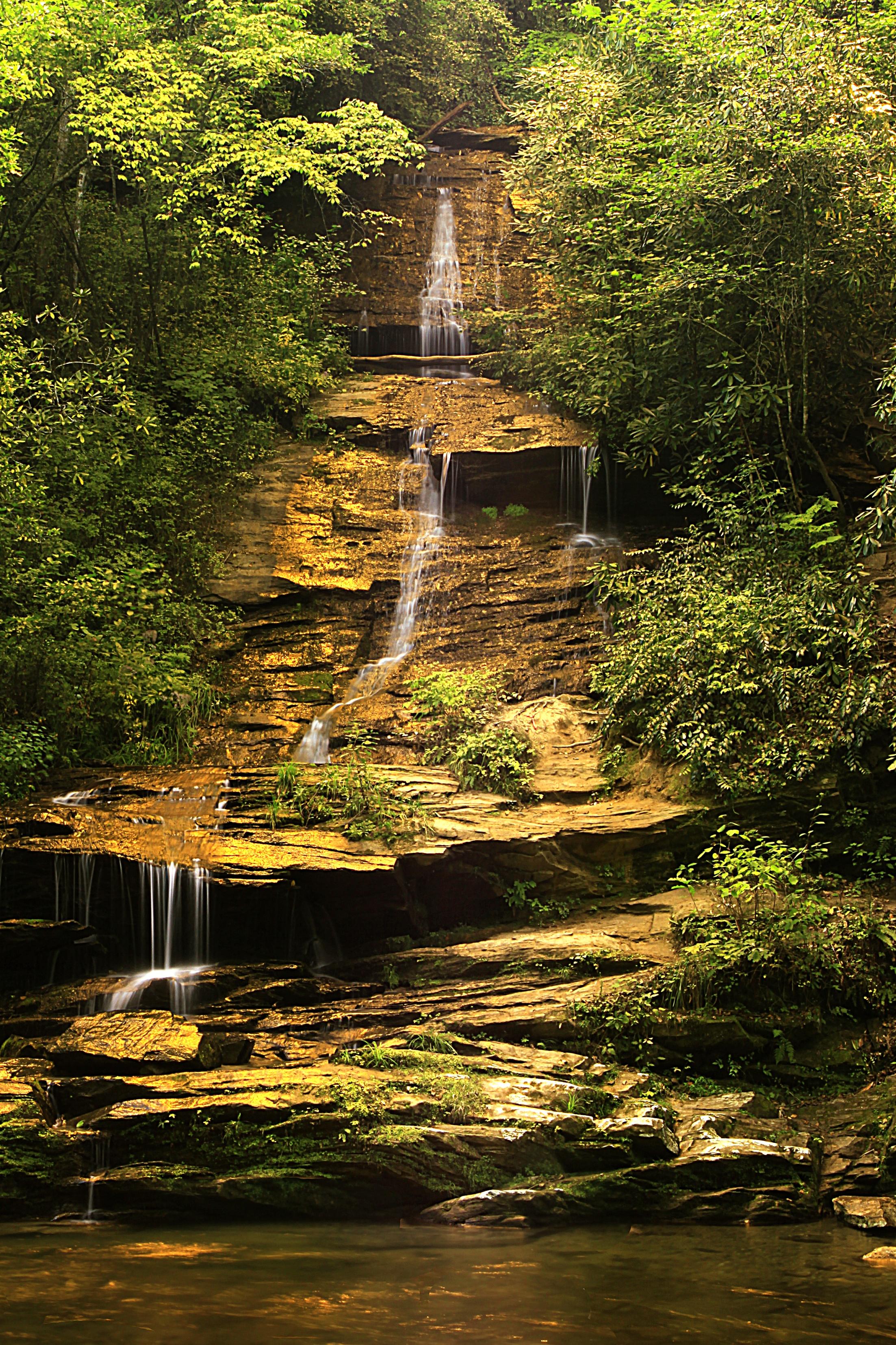 Laden Sie das Wasserfall, Natur, Bäume, Bush, Felsen, Geäst, Zweige, Die Steine-Bild kostenlos auf Ihren PC-Desktop herunter