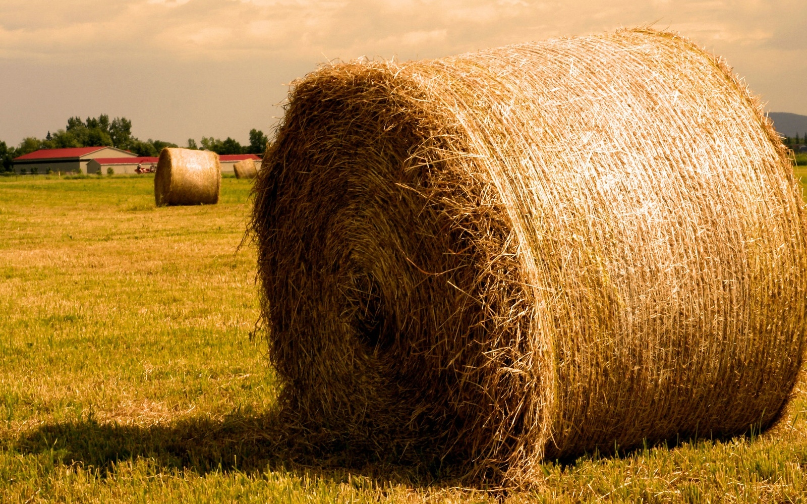 Download mobile wallpaper Earth, Haystack for free.