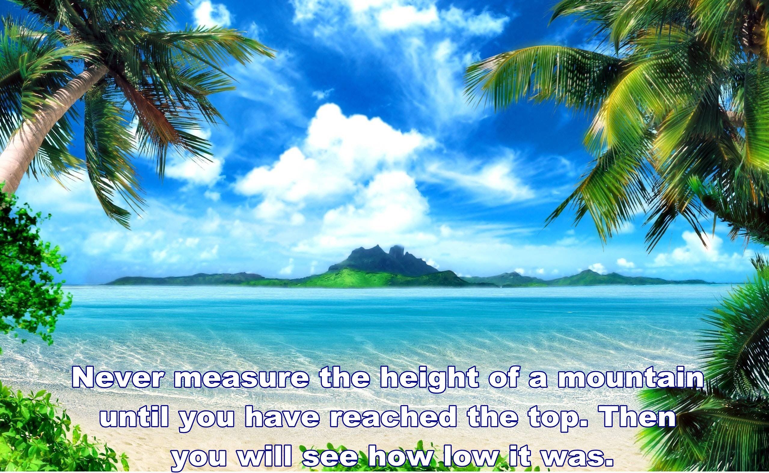 Free download wallpaper Island, Tropical, Quote, Statement, Misc, Motivational, Palm Tree on your PC desktop