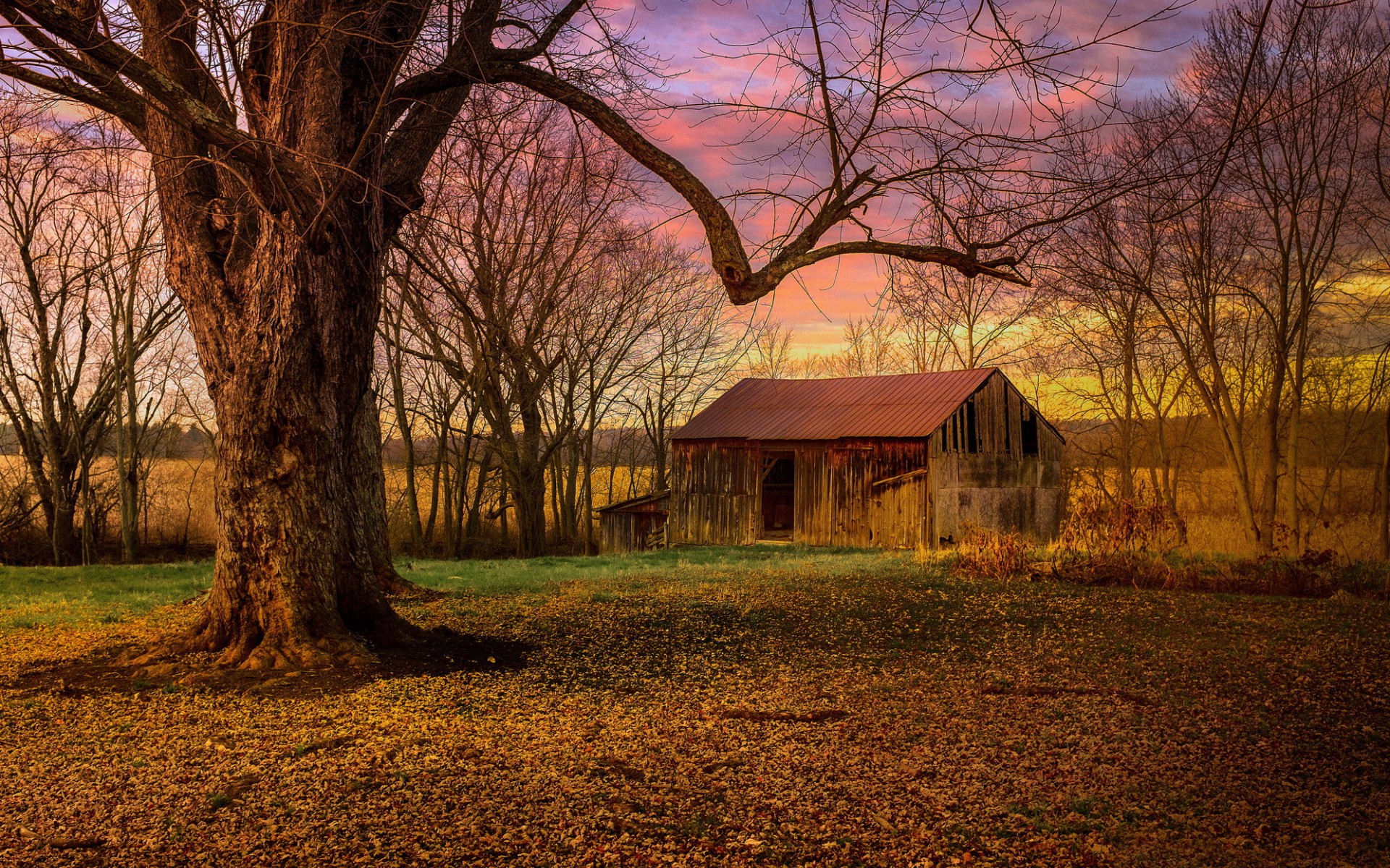 Free download wallpaper Sunset, Tree, Field, Barn, Man Made on your PC desktop