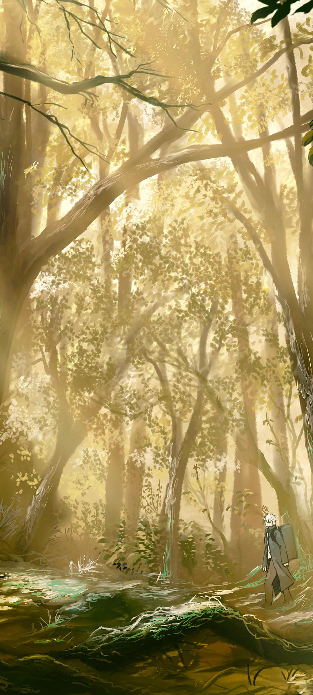 mushishi, anime, forest, ginko (mushishi) High Definition image