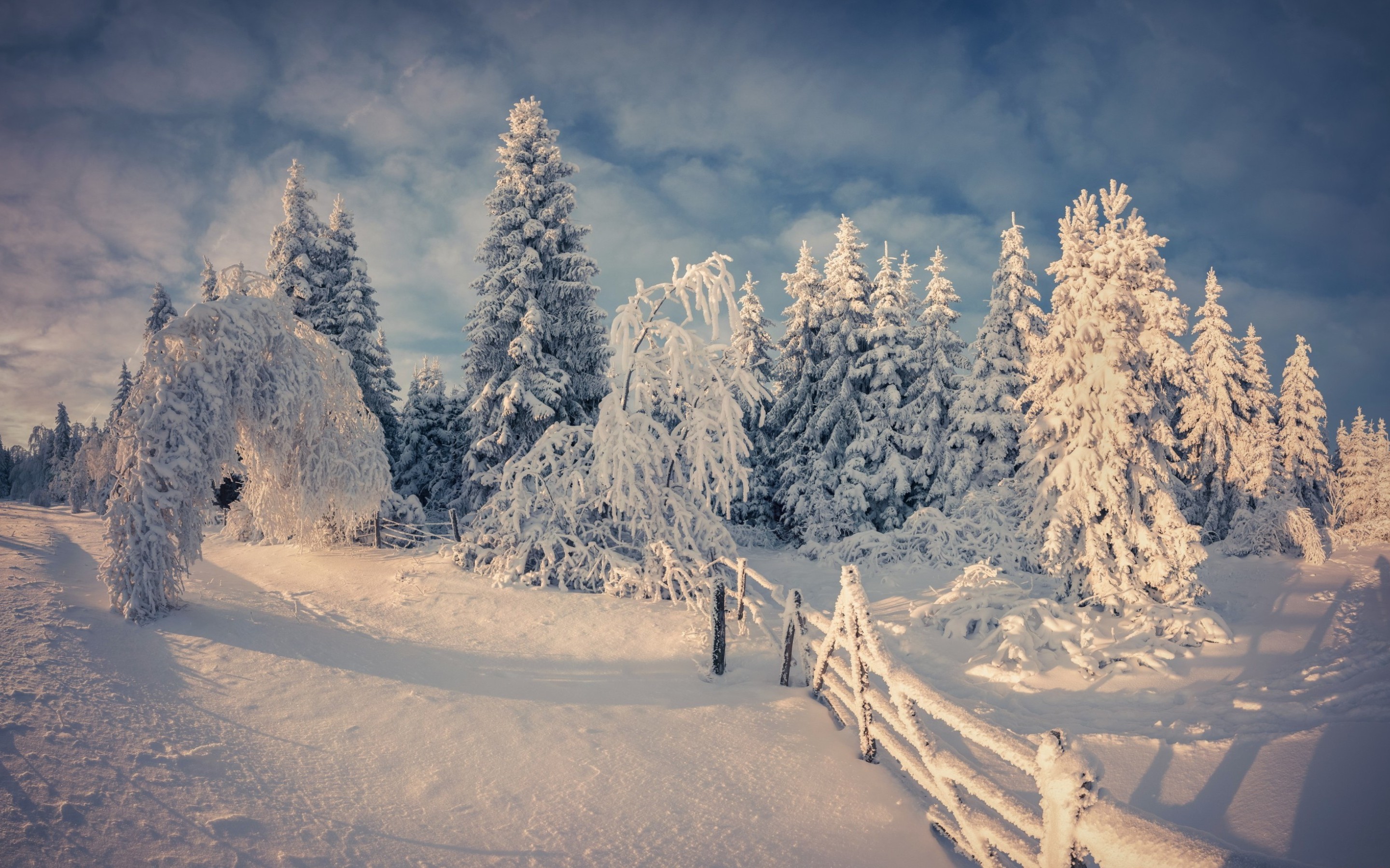 Laden Sie das Winter, Erde/natur-Bild kostenlos auf Ihren PC-Desktop herunter