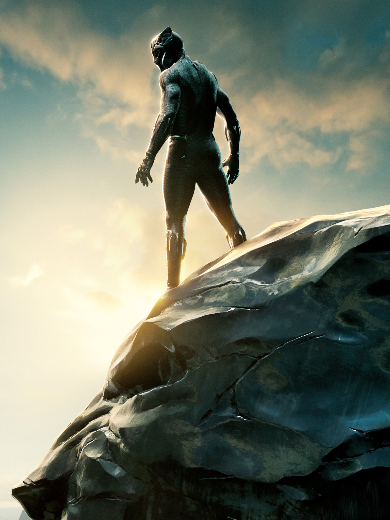 Download mobile wallpaper Movie, Black Panther for free.