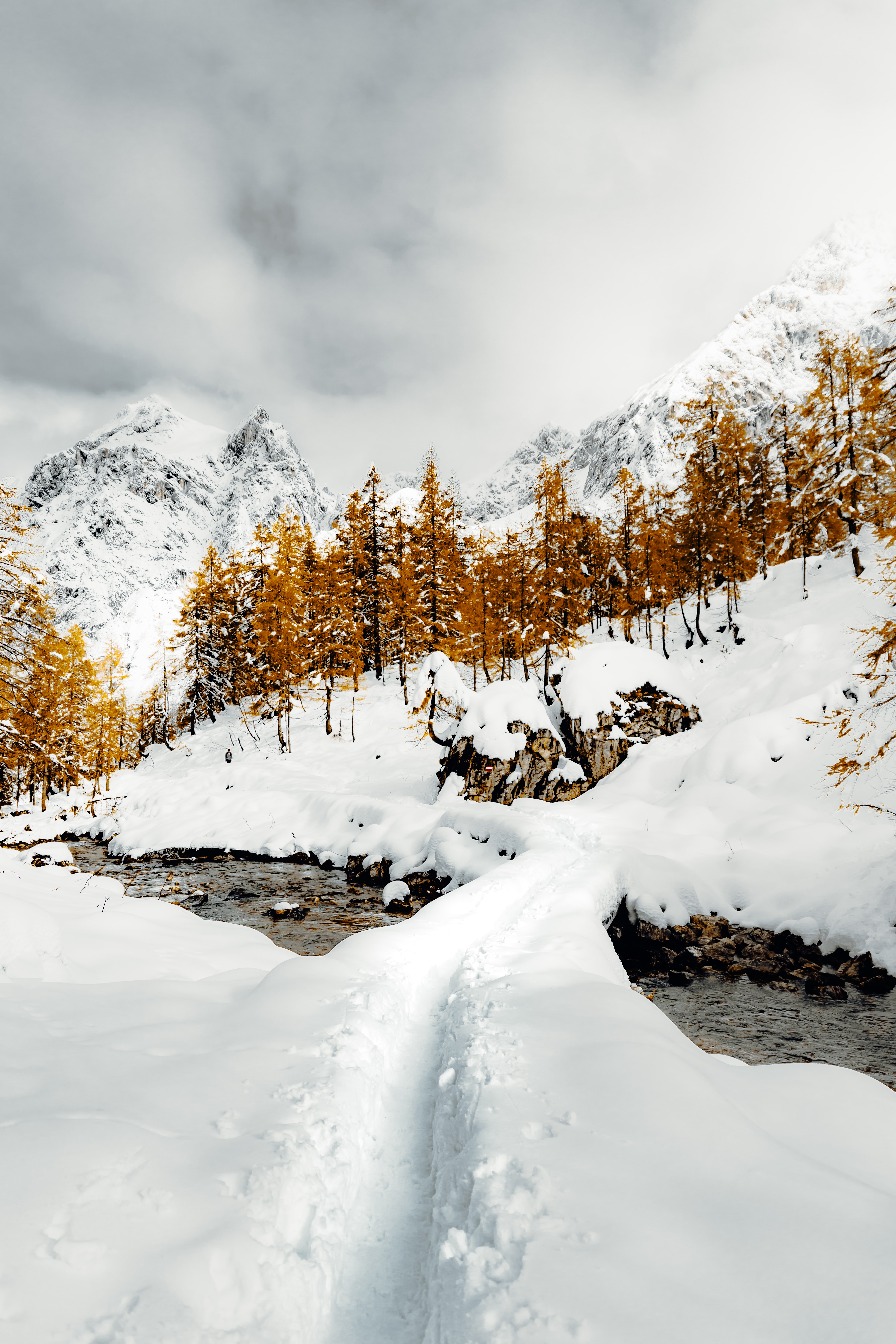 winter, nature, trees, mountains, snow, path, creek, brook 8K