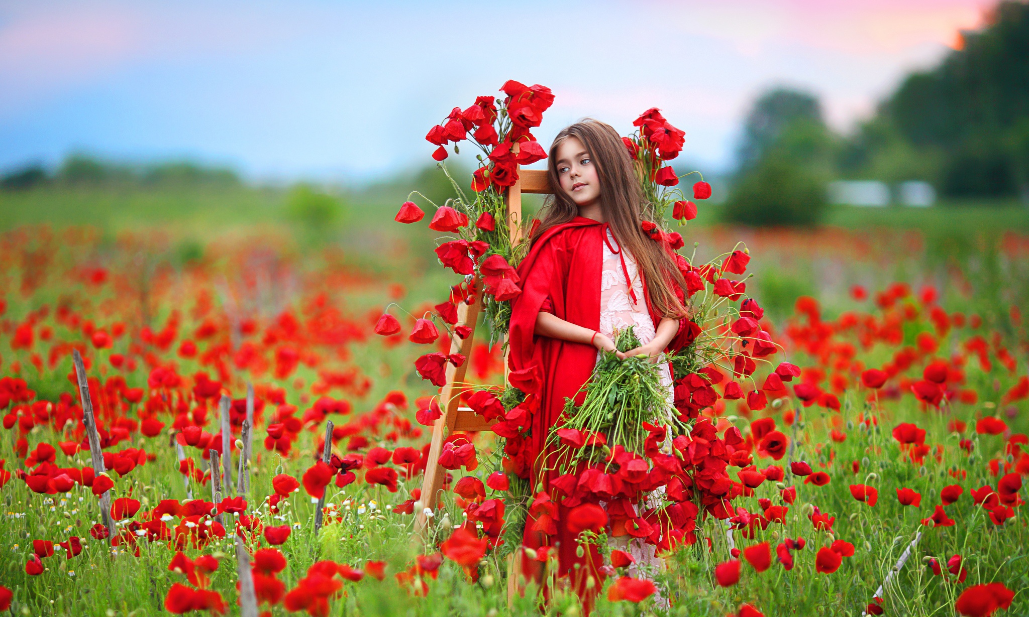 Download mobile wallpaper Flower, Child, Poppy, Photography, Red Flower for free.