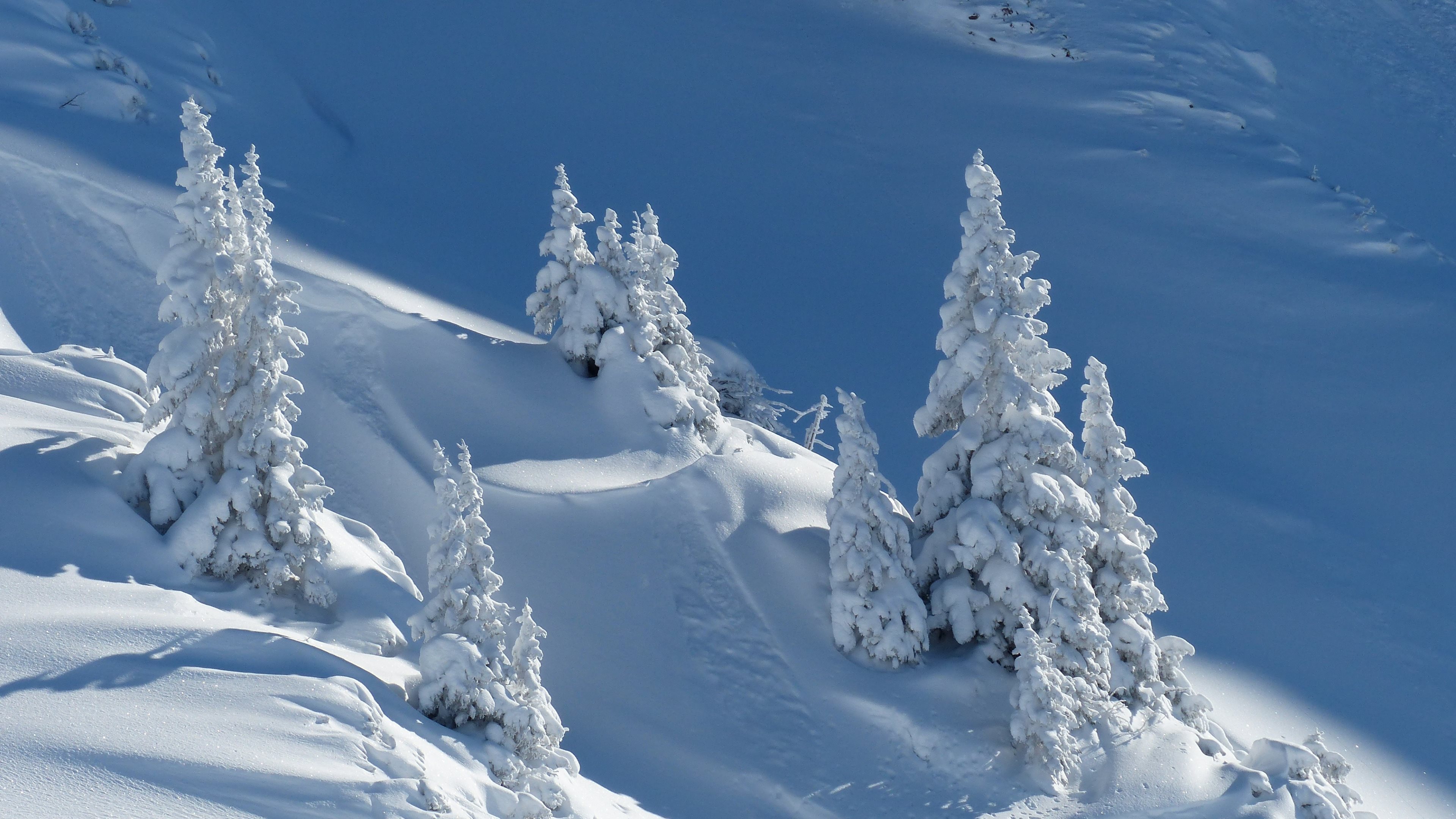 Скачать обои бесплатно Зима, Снег, Земля/природа картинка на рабочий стол ПК