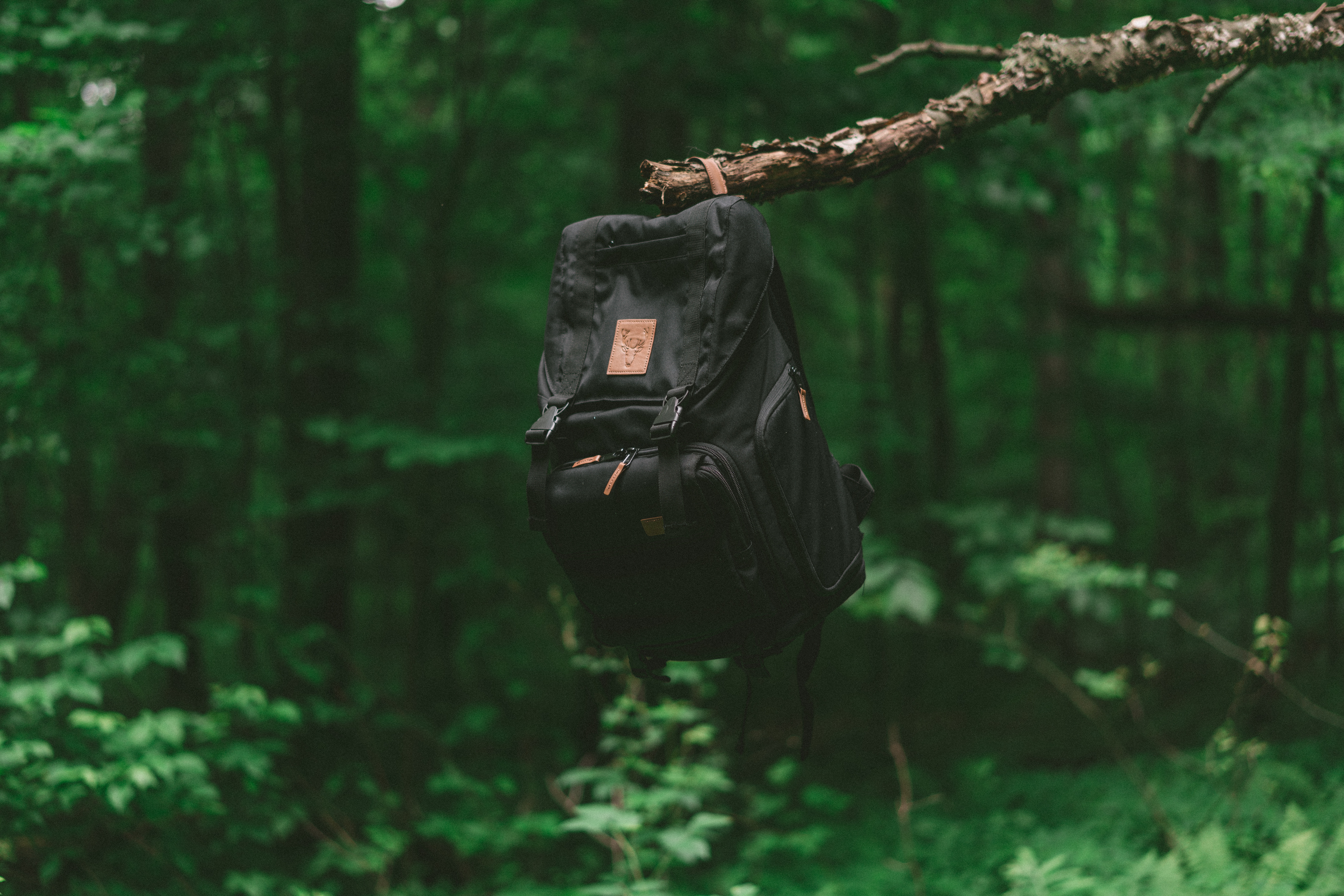 backpack, miscellanea, miscellaneous, forest, branch, journey, rucksack download HD wallpaper