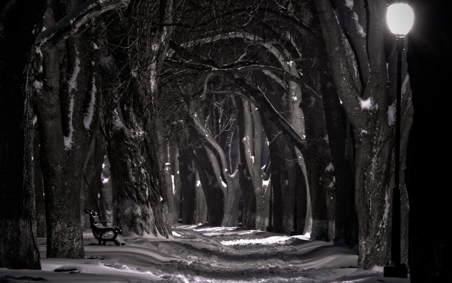Скачать картинку Зима, Снег, Дерево, Черно Белый, Живопись, Ландшафт, Фотографии в телефон бесплатно.