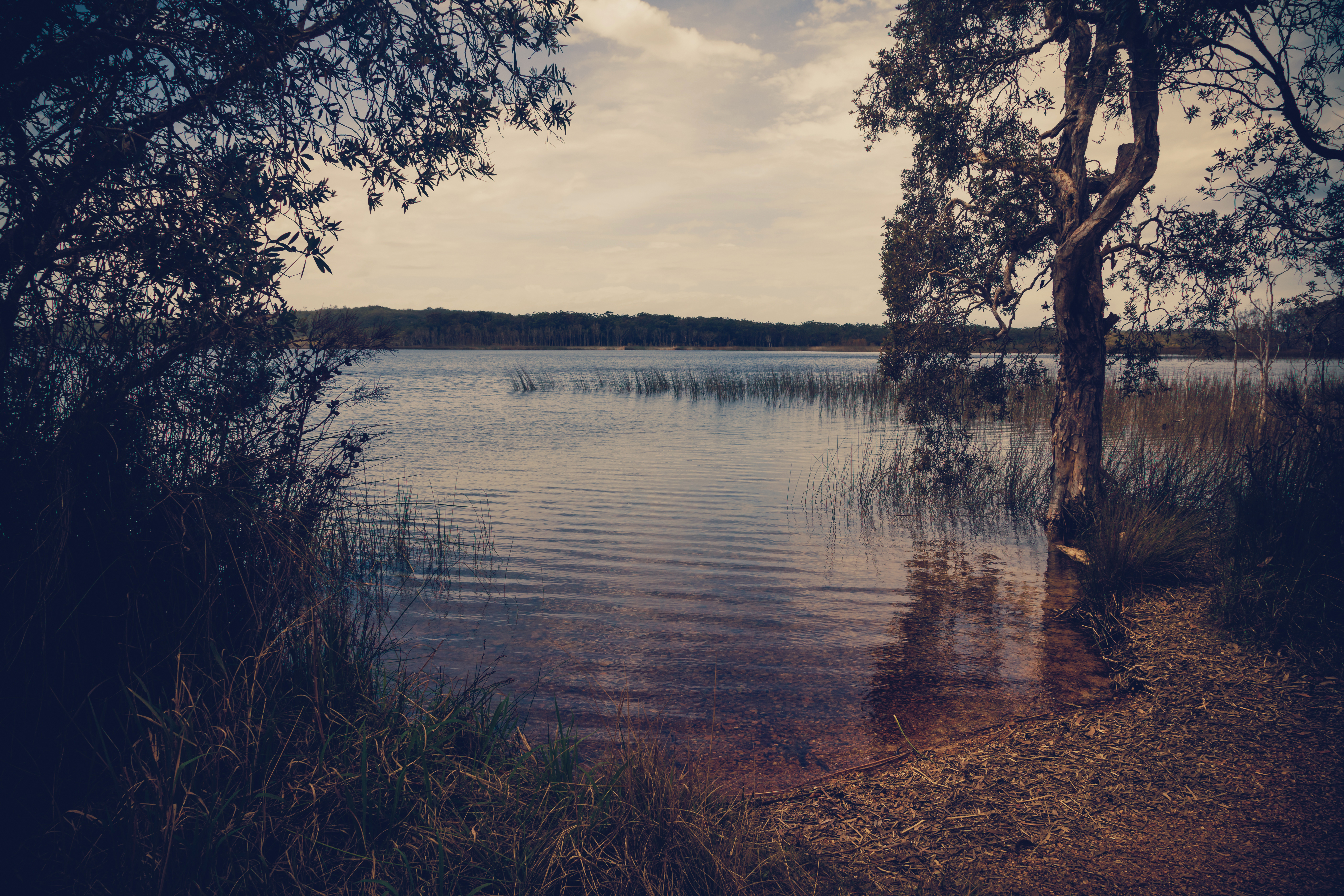 Handy-Wallpaper Fluss, Erde/natur kostenlos herunterladen.