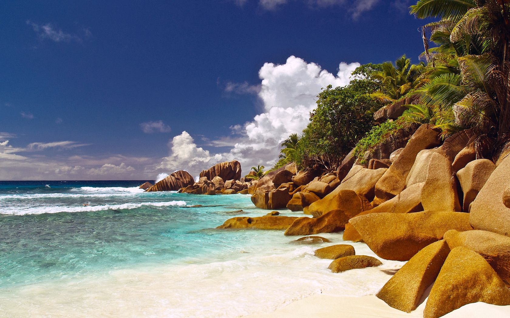 palms, blue water, stones, beach, nature, shore, bank, tropics, boulders wallpaper for mobile