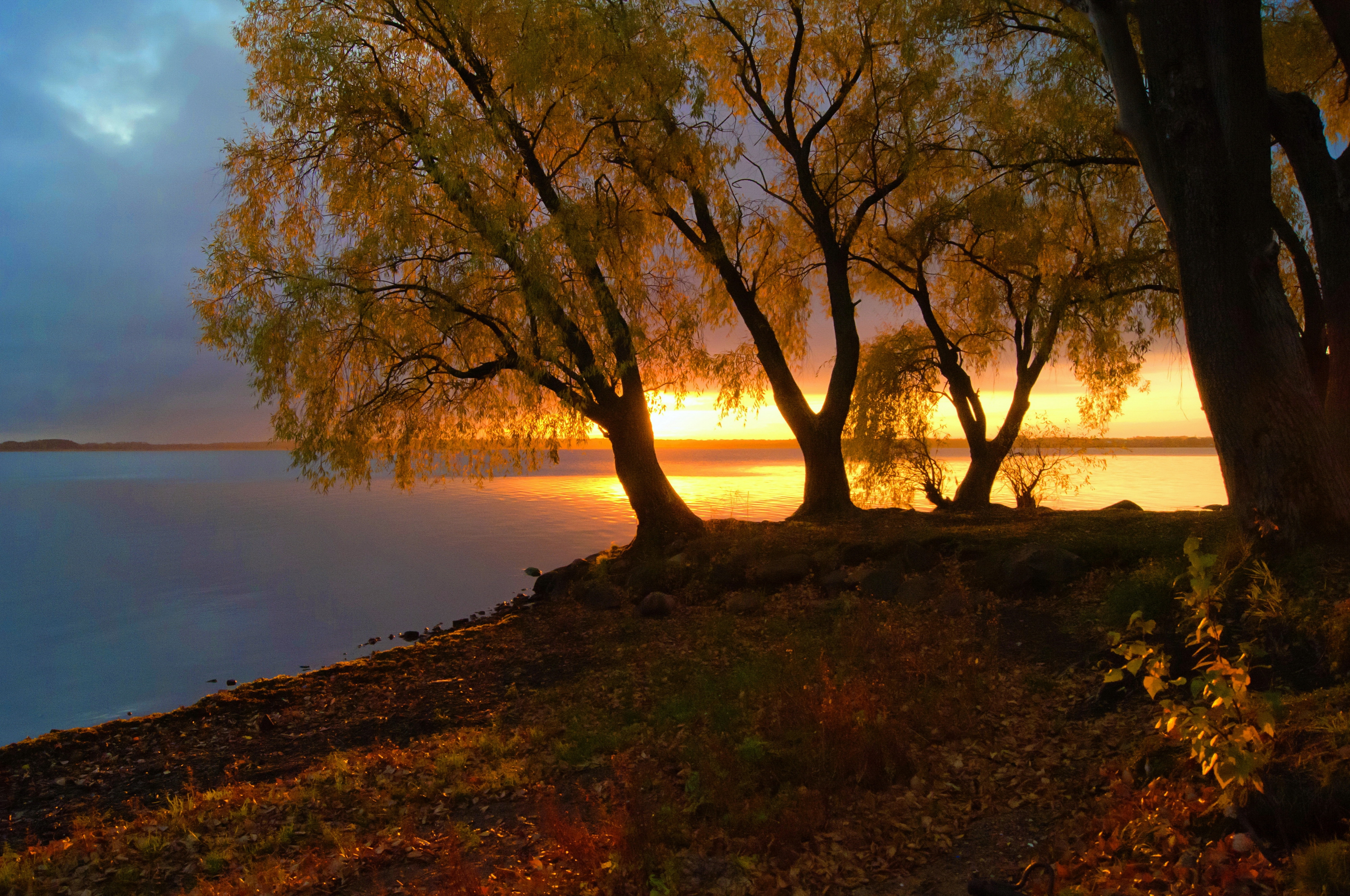 Download mobile wallpaper Trees, Lake, Tree, Fall, Earth for free.
