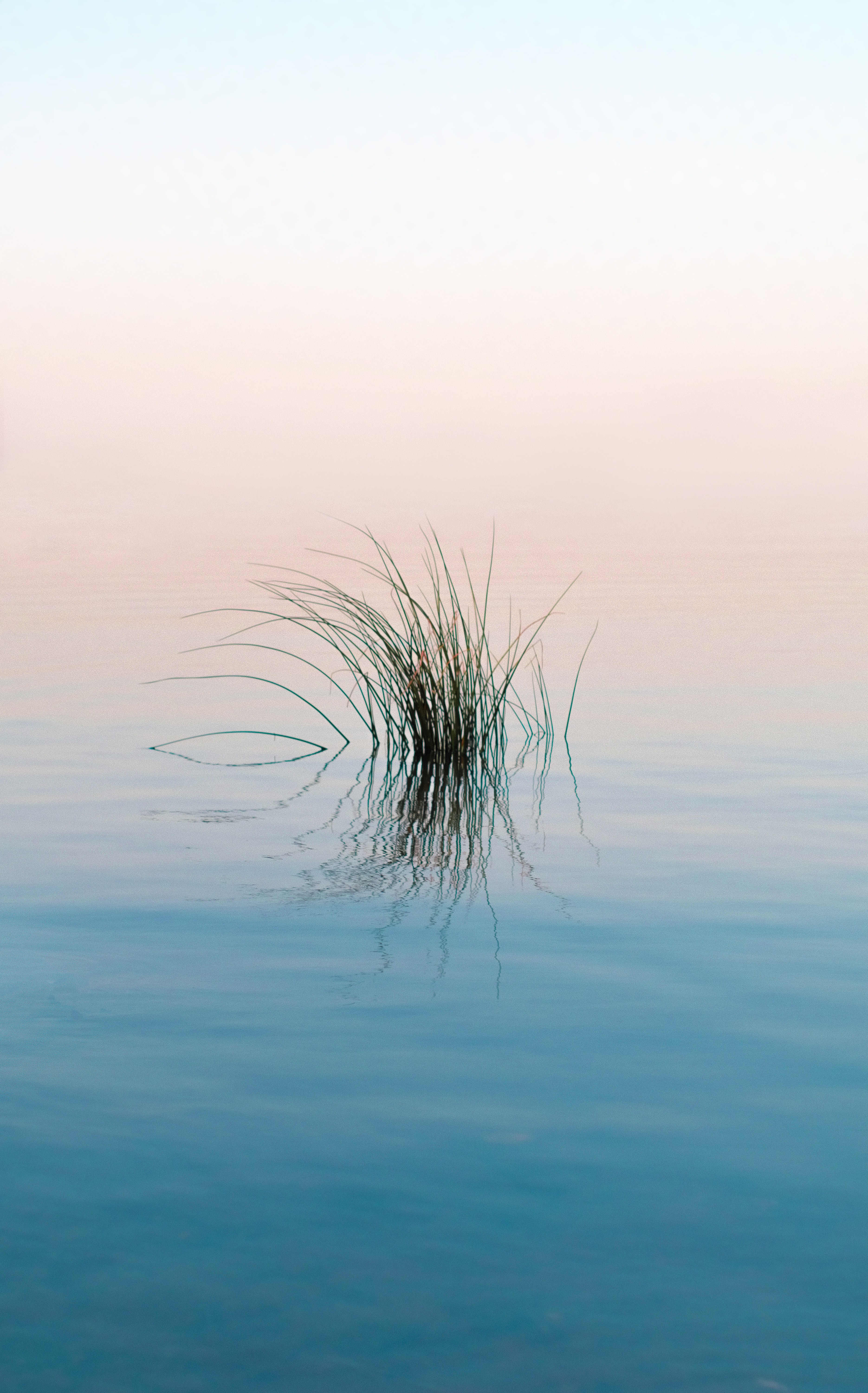 Download mobile wallpaper Reflection, Ripples, Ripple, Grass, Water, Rivers, Nature for free.
