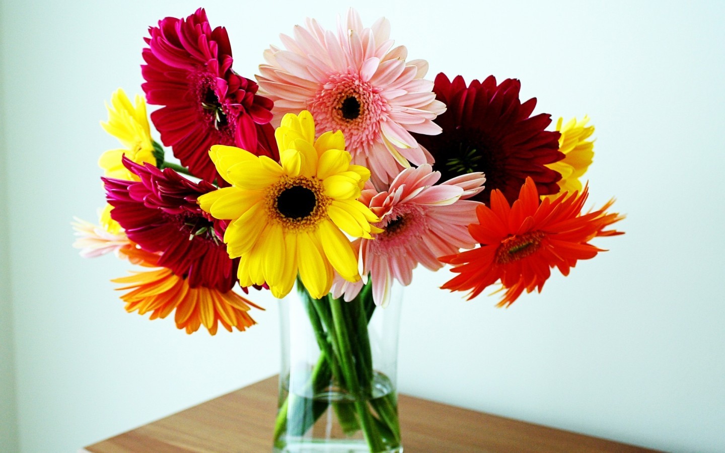 Baixe gratuitamente a imagem Férias, Flores, Bouquets, Plantas na área de trabalho do seu PC