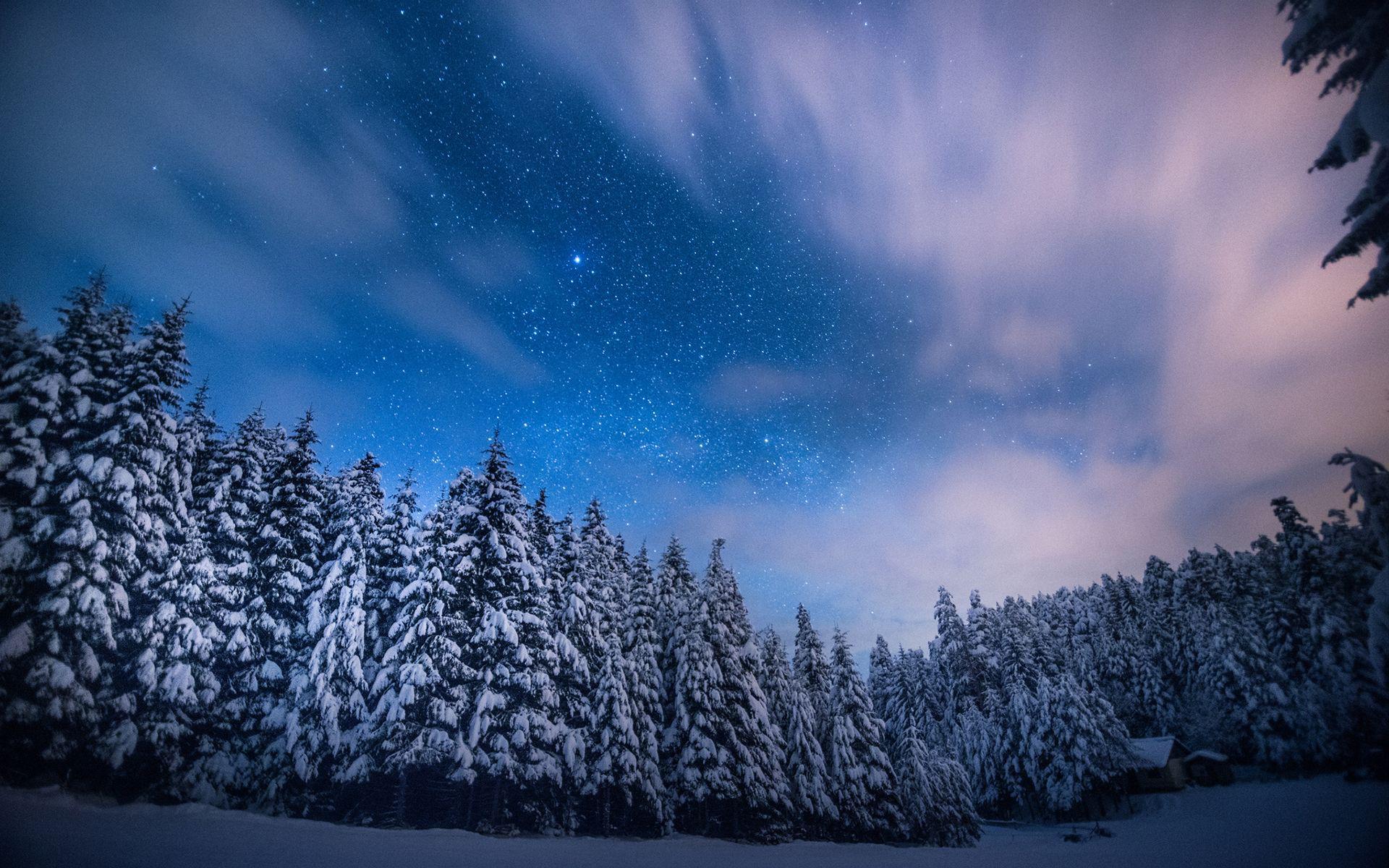 Handy-Wallpaper Winter, Natur, Sterne, Schnee, Wald, Baum, Nacht, Himmel, Erde/natur, Sternenklarer Himmel kostenlos herunterladen.