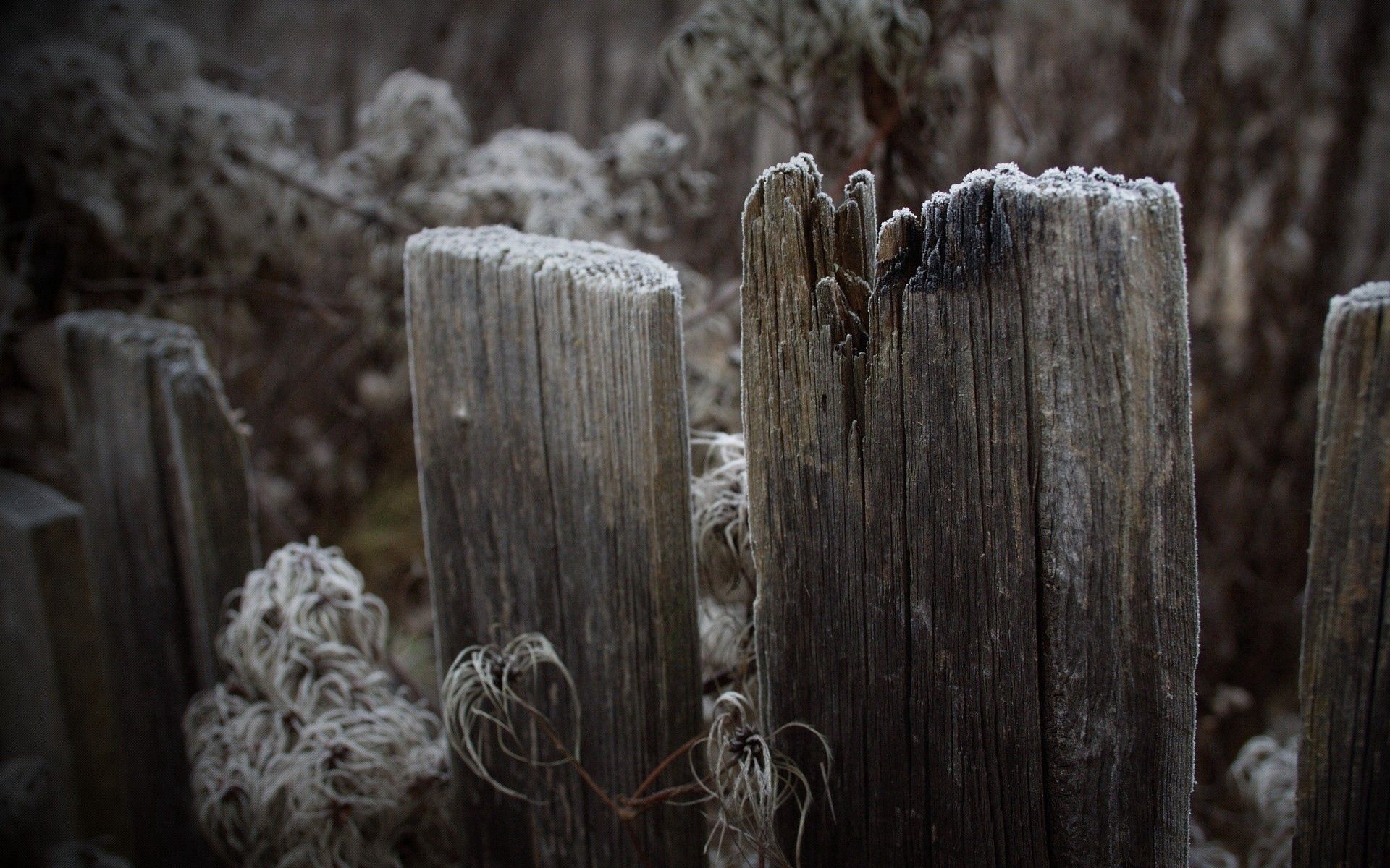 Free download wallpaper Grass, Fence, Hoarfrost, Frost, Planks, Nature, Board on your PC desktop
