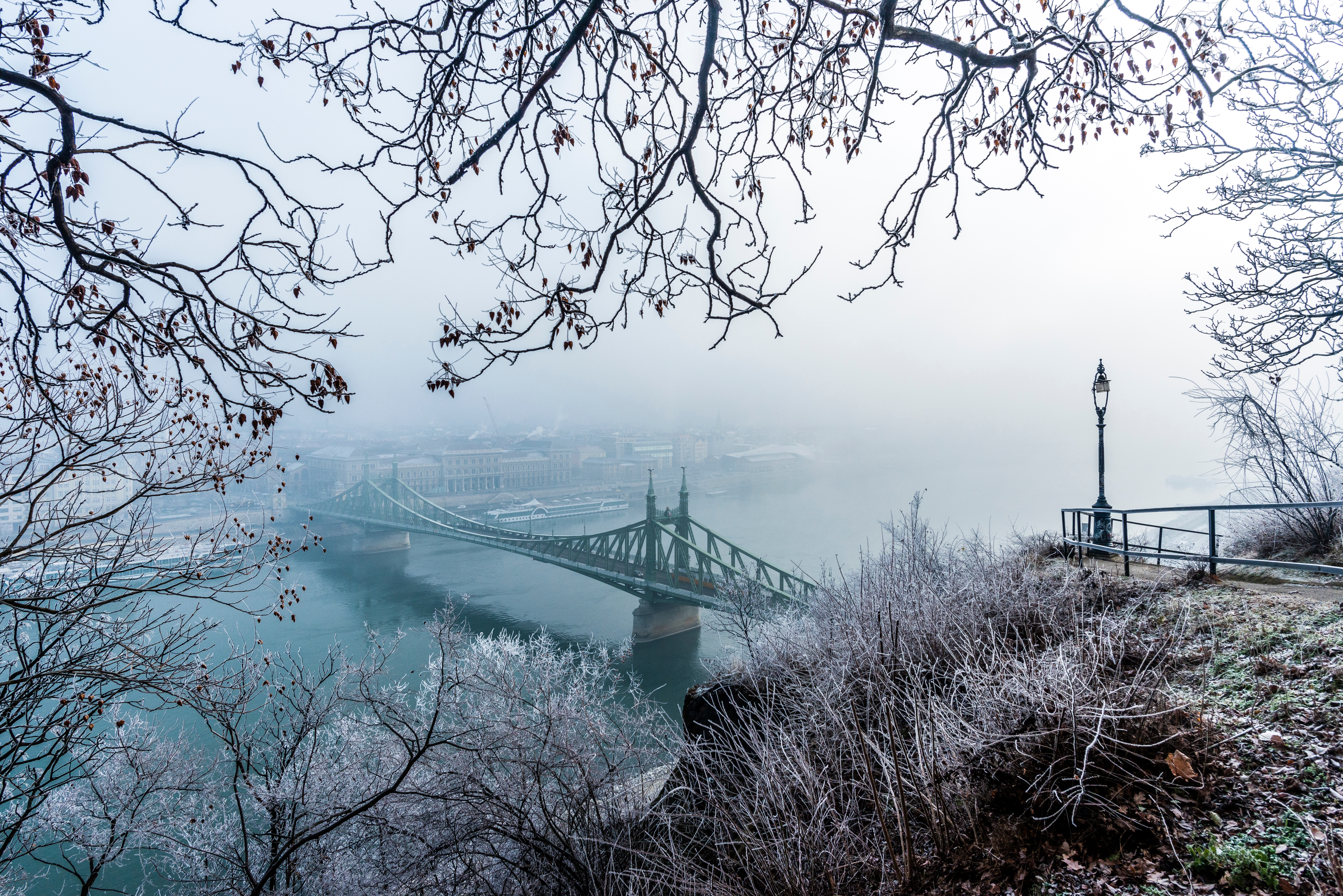 74035 скачать картинку ветки, города, зима, будапешт, иней, снег, вид сверху, туман, мост, венгрия - обои и заставки бесплатно