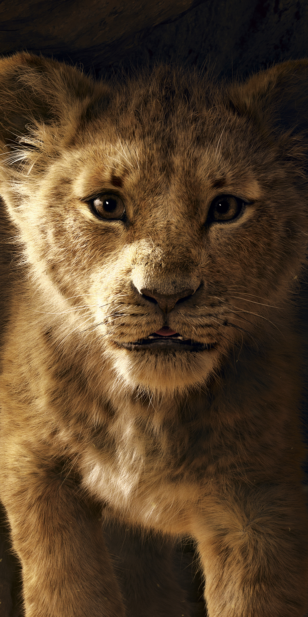 1346459 descargar fondo de pantalla películas, el rey león (2019), simba: protectores de pantalla e imágenes gratis