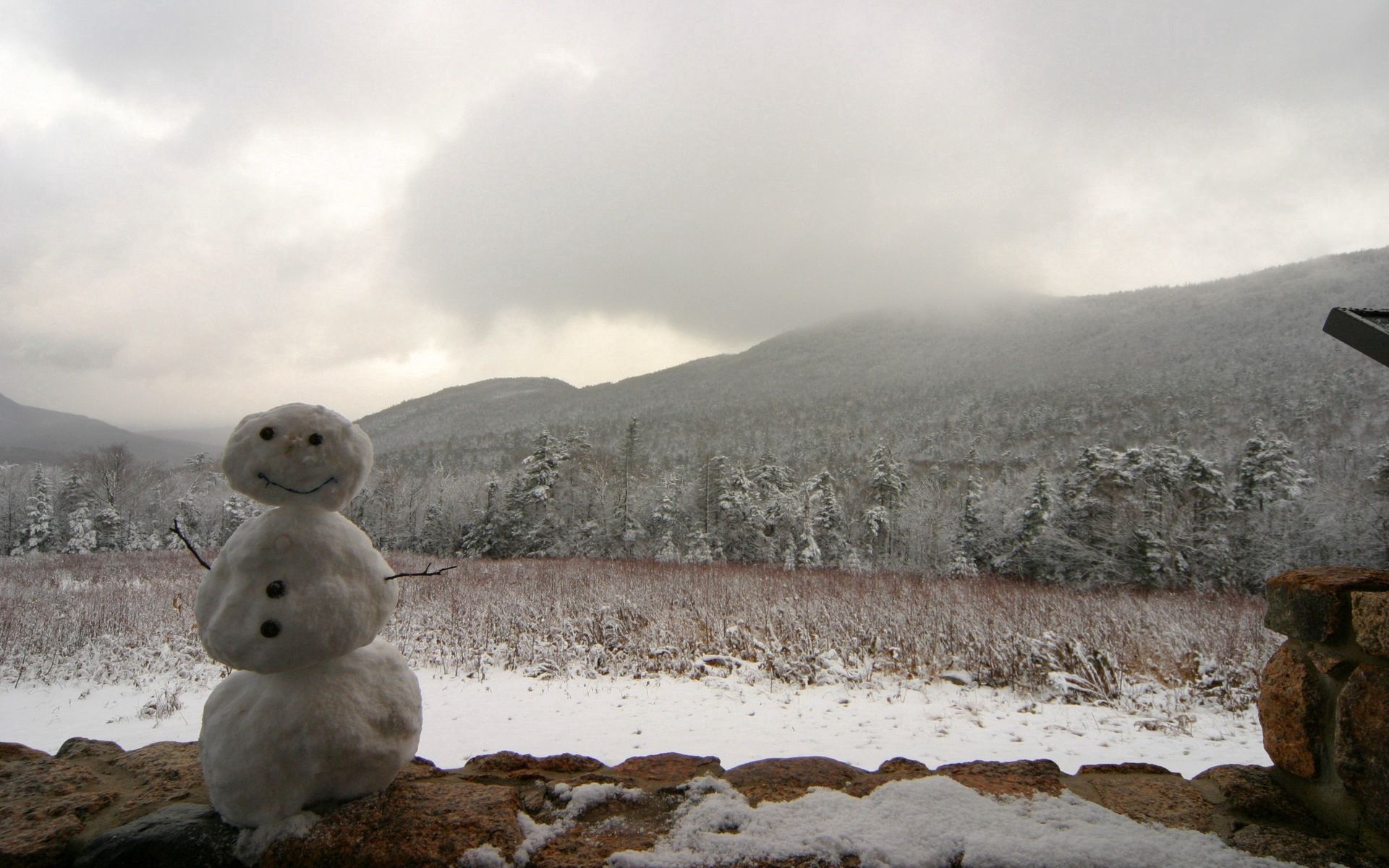 Скачать обои бесплатно Снеговик, Природа, Облака, Деревья, Туман, Горы, Зима картинка на рабочий стол ПК
